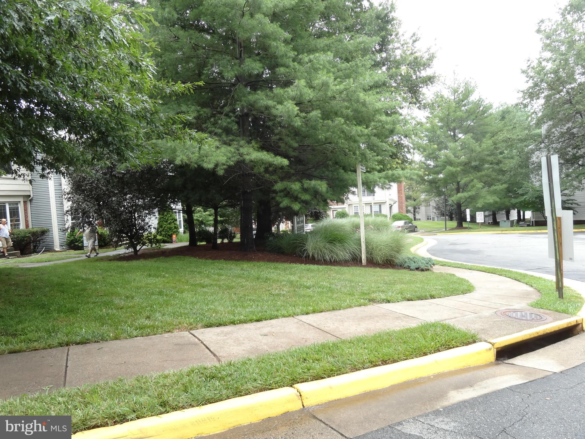 PENDERBROOK - Residential Lease