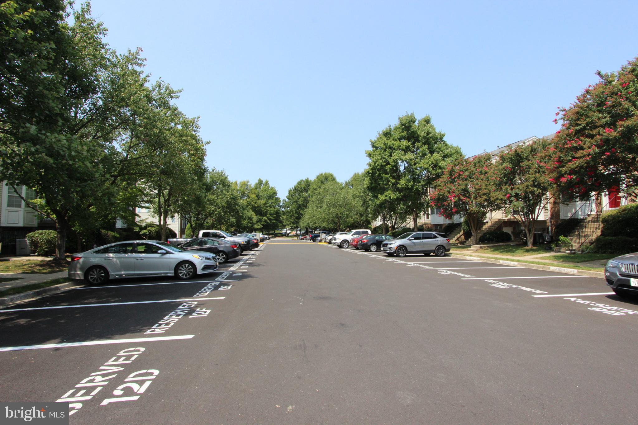 SYCAMORE MEWS - Residential Lease