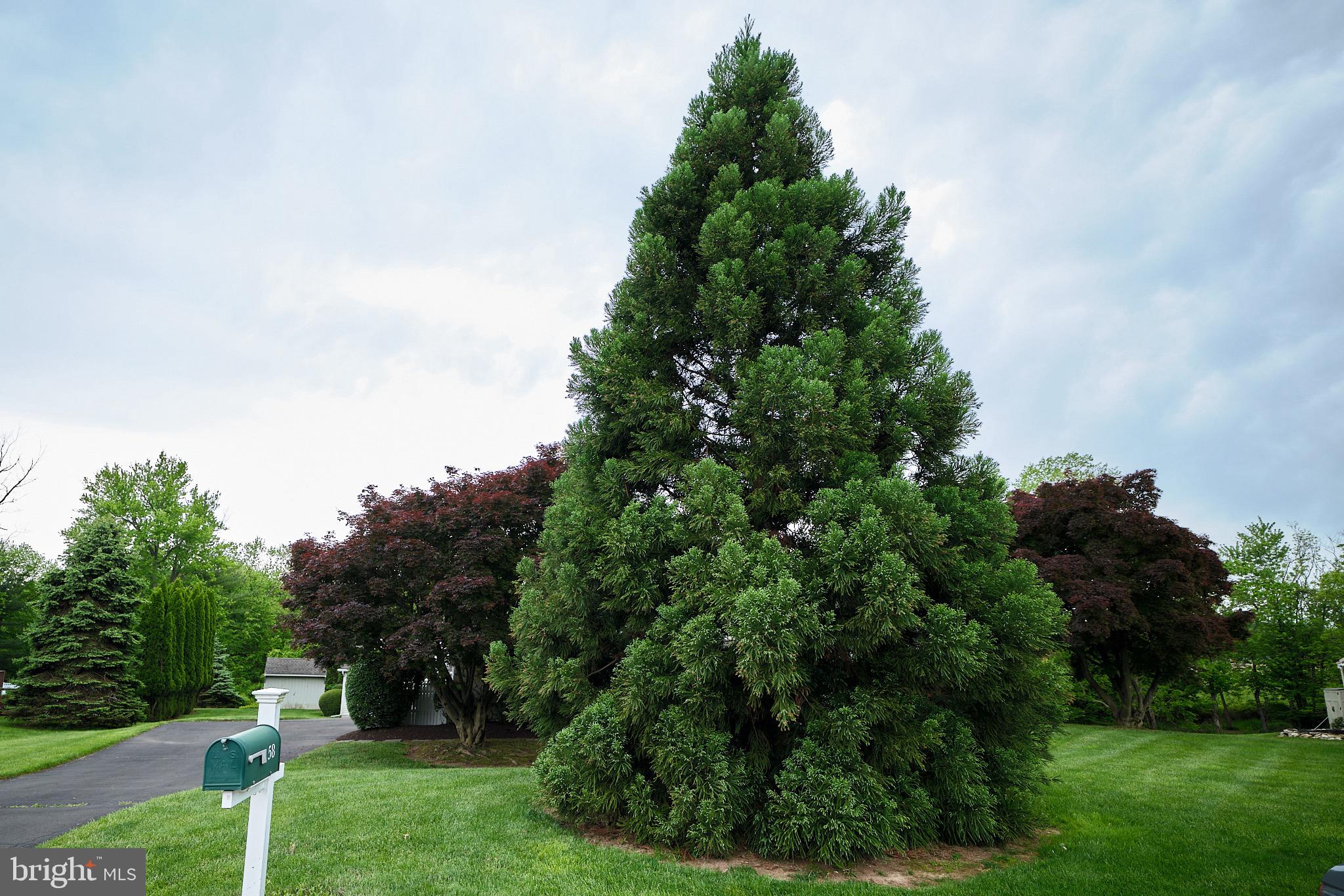 LONG LANE FARMS - Residential