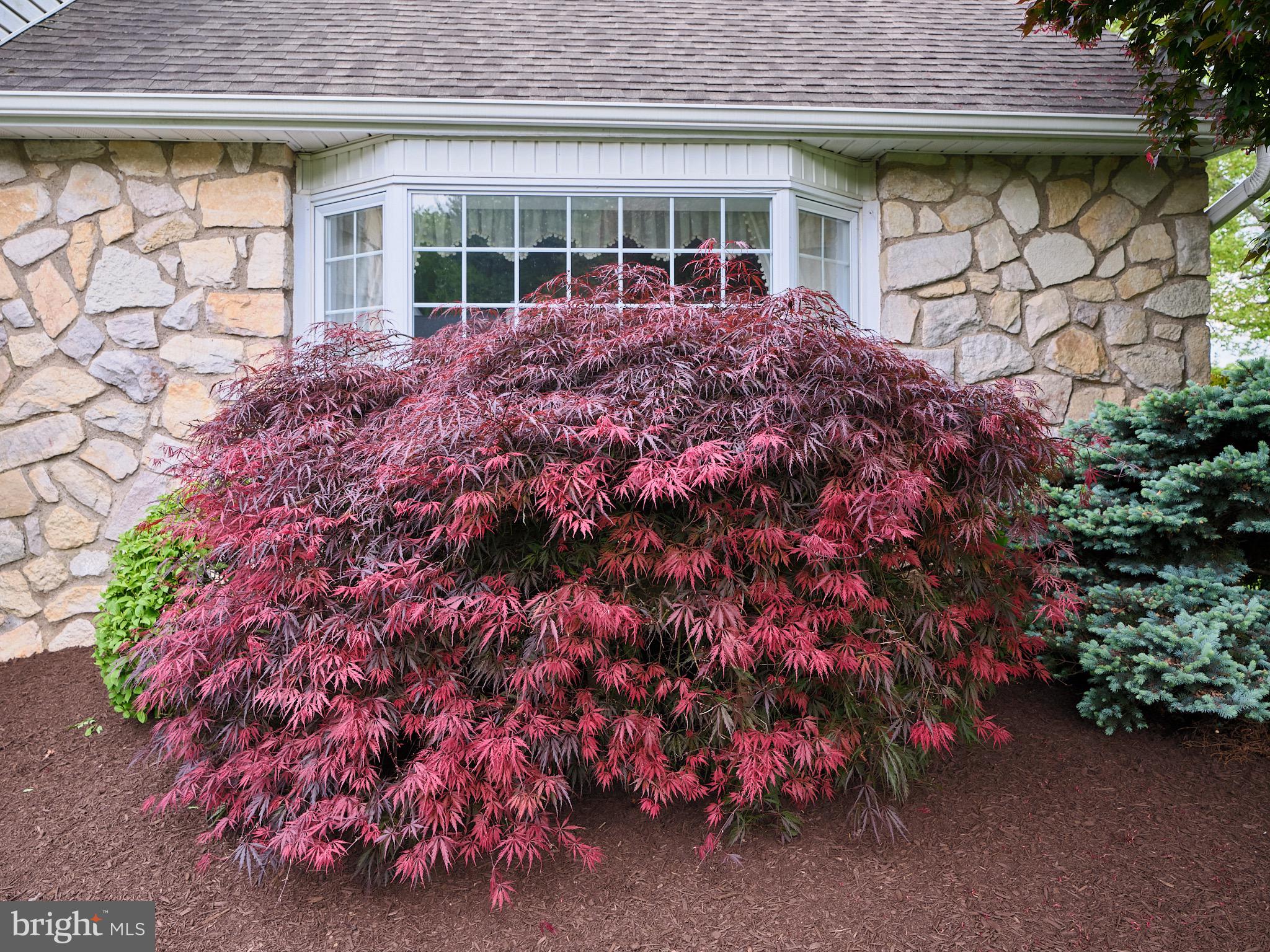 LONG LANE FARMS - Residential