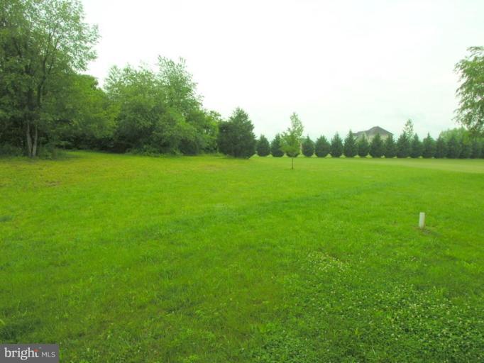 MEADOW BROOK - Residential