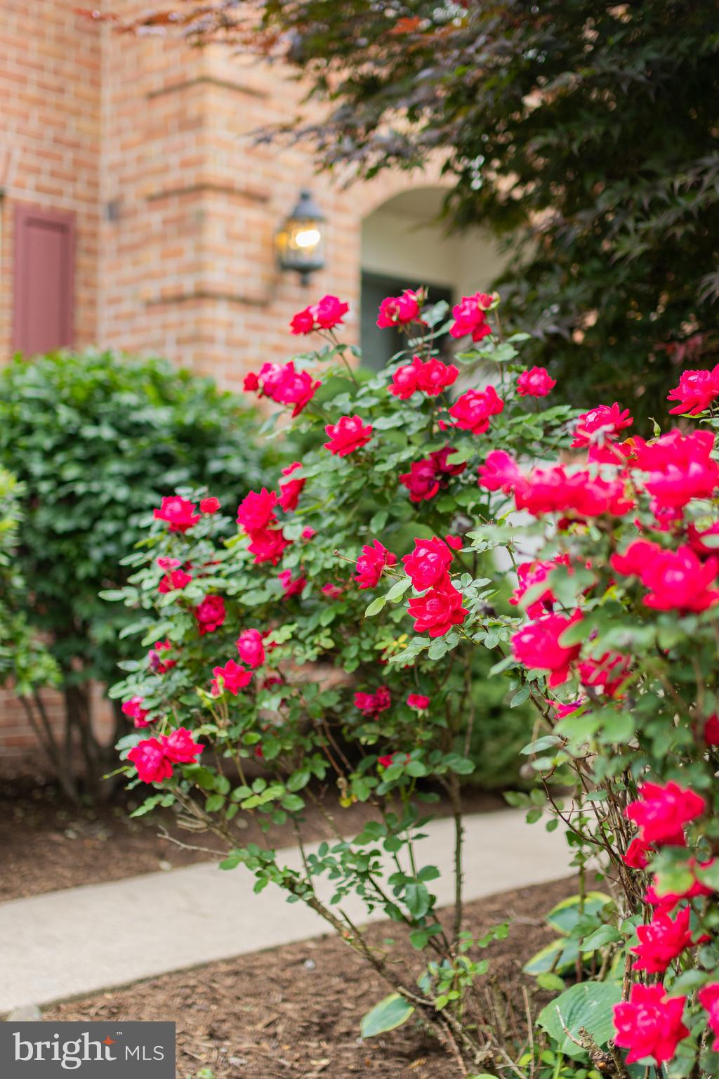 OAK GROVE - Residential