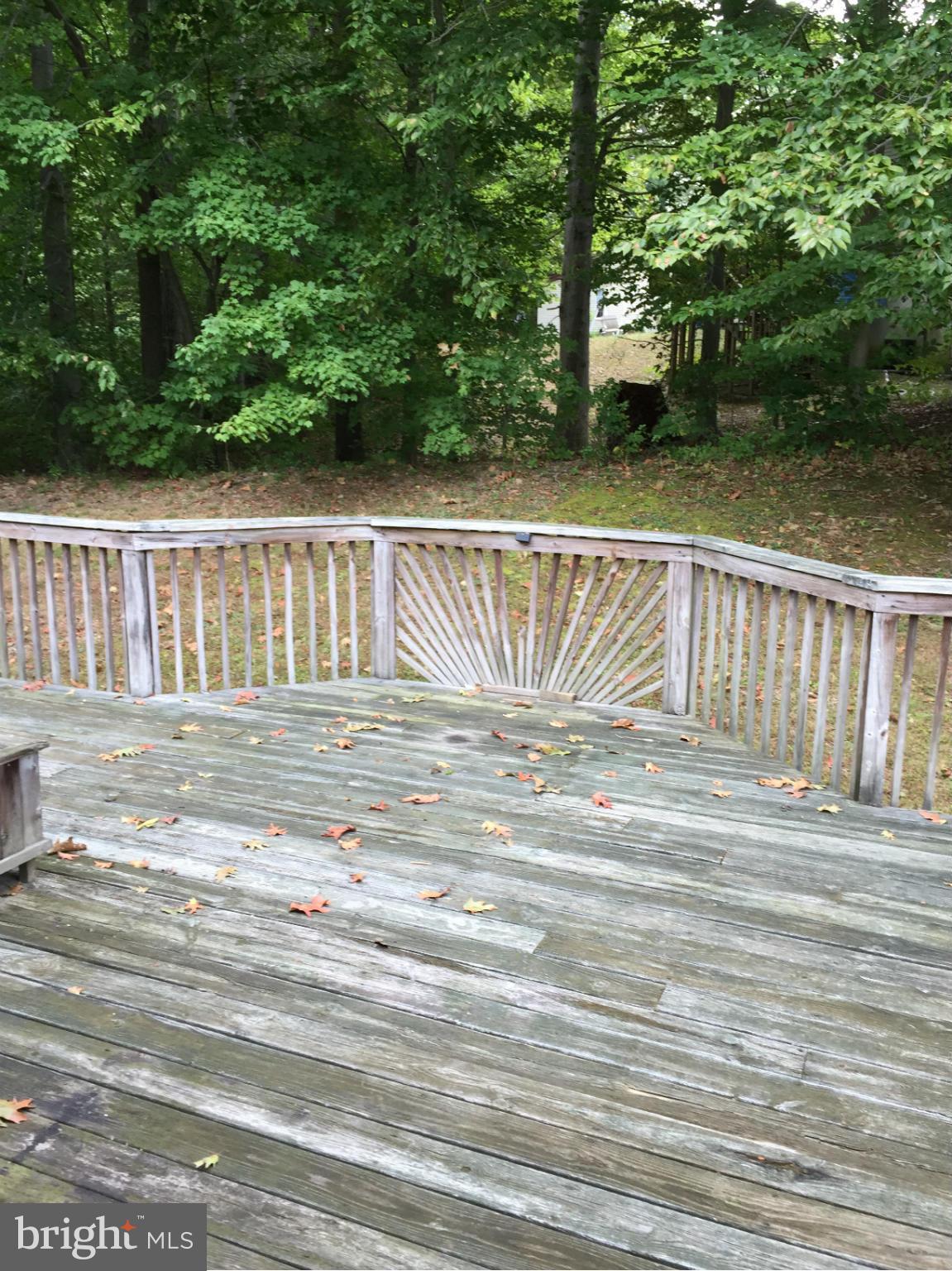 MARLBOROUGH SOUTH - Residential Lease