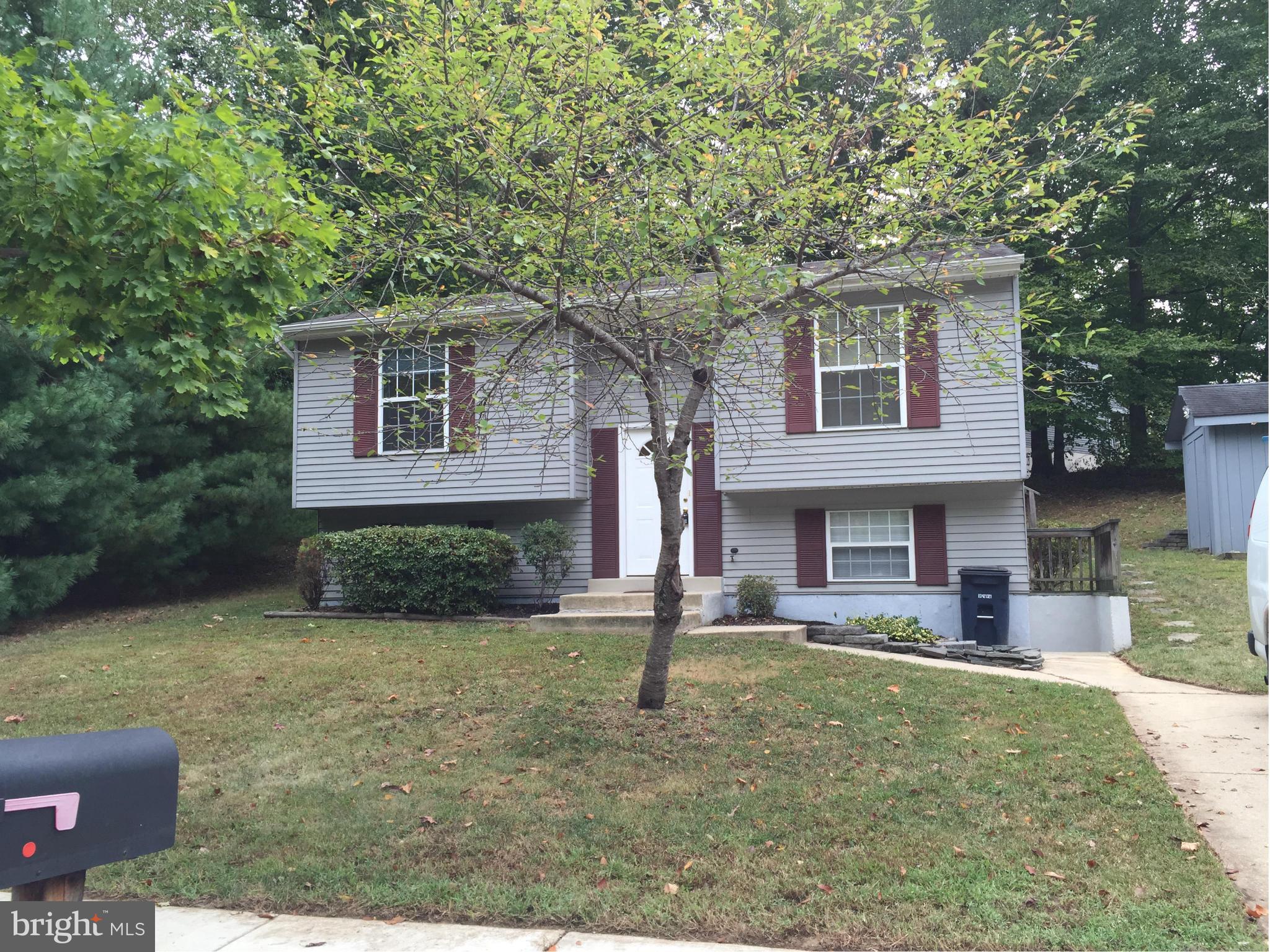 MARLBOROUGH SOUTH - Residential Lease