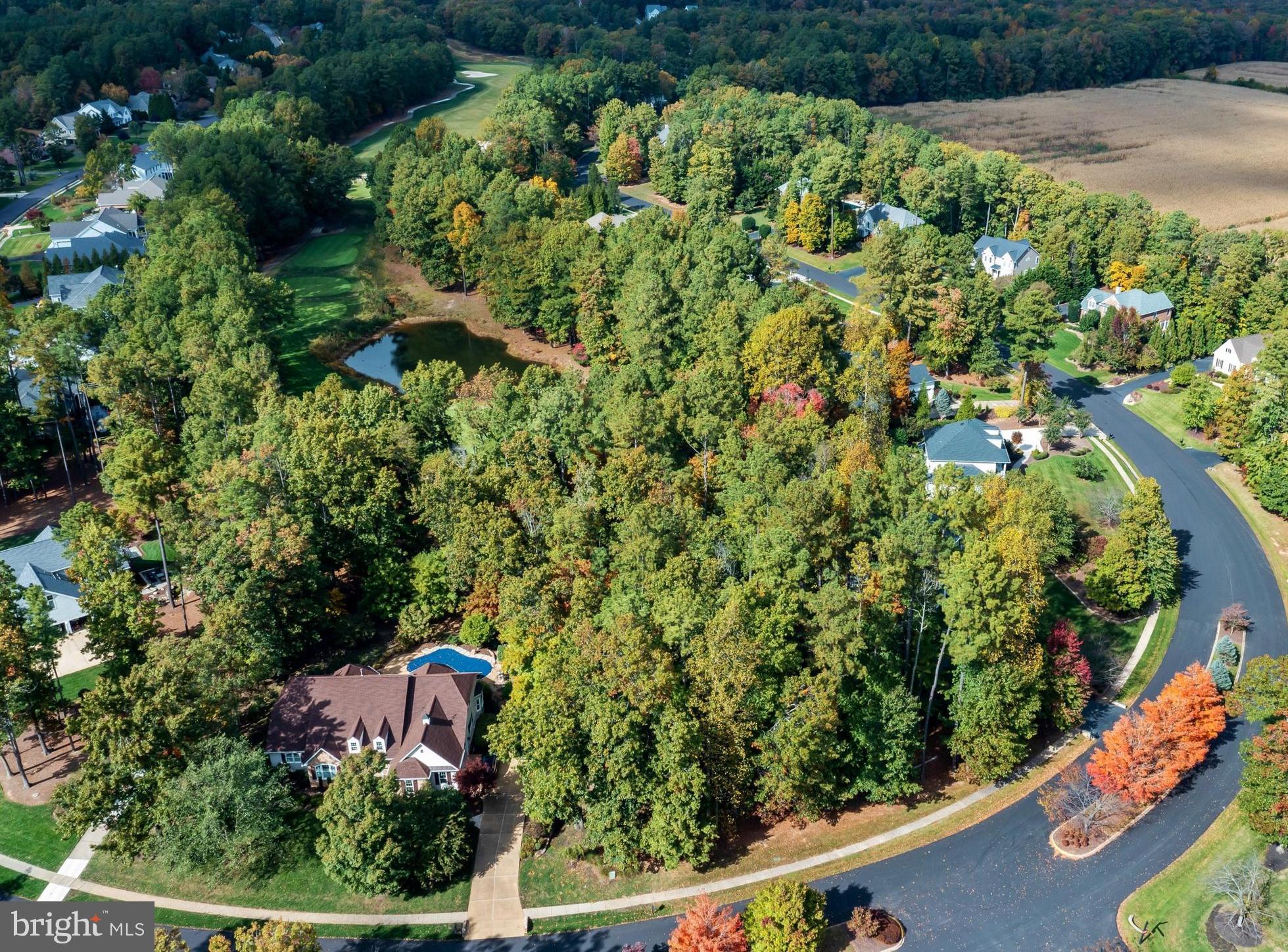 10616 CHATHAM RIDGE WAY