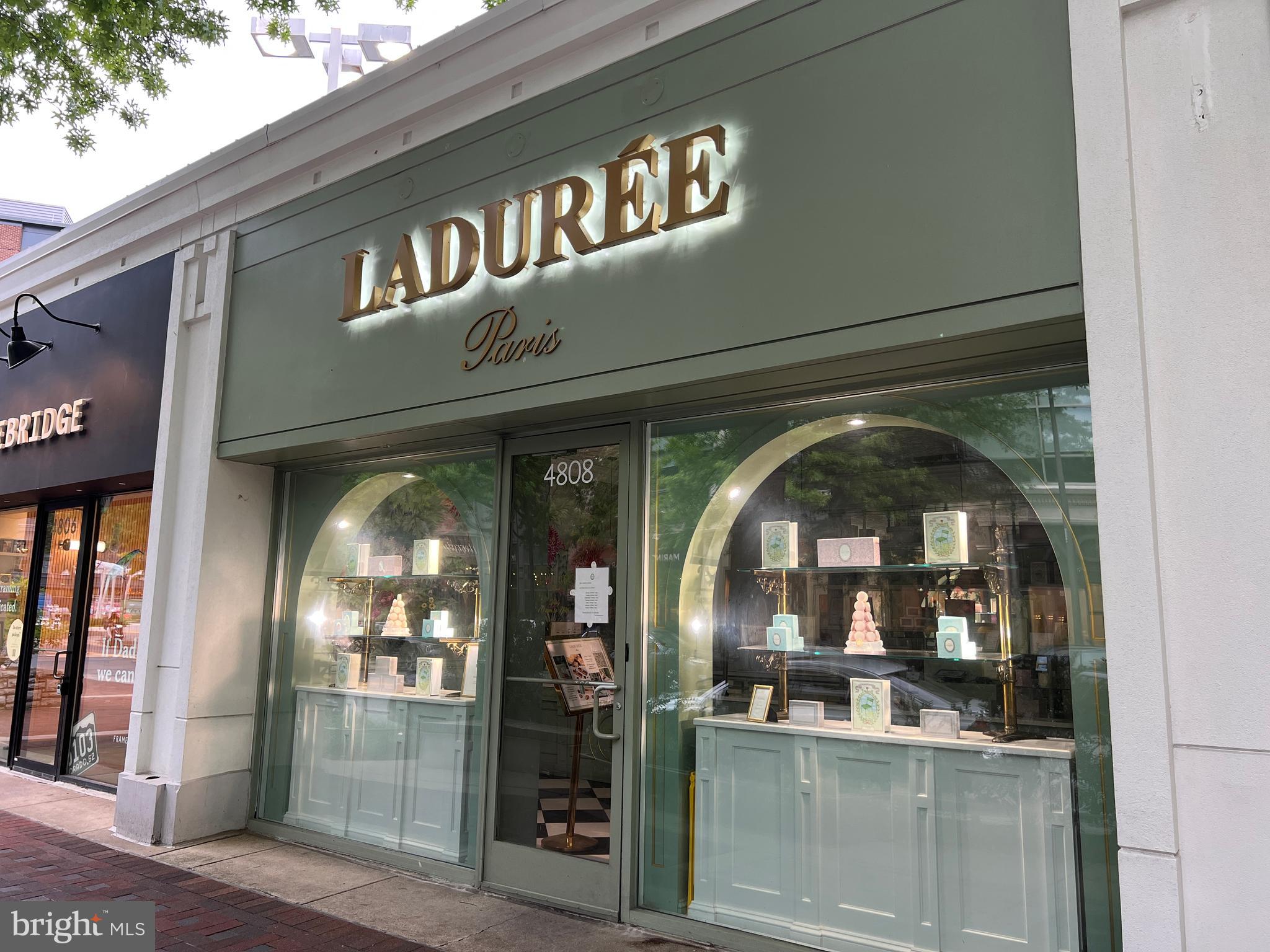 CHEVY CHASE TERRACE - Residential