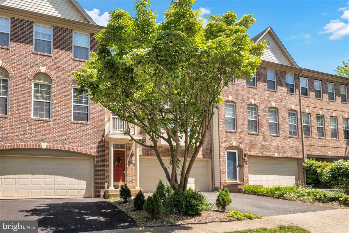 4229 TRUMBO COURT