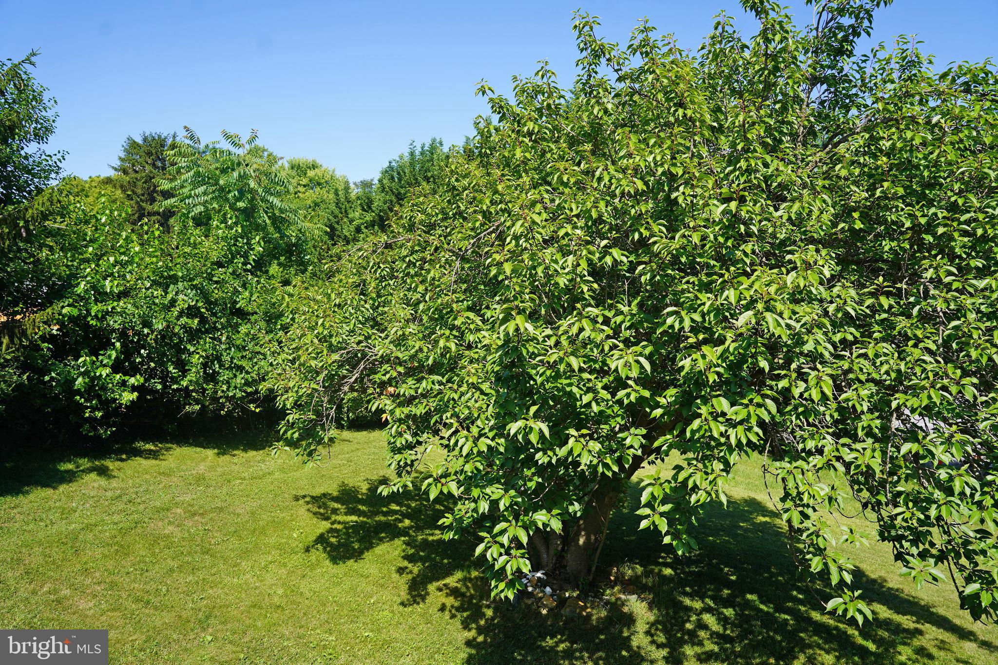 EVITTS RUN ESTATES - Residential