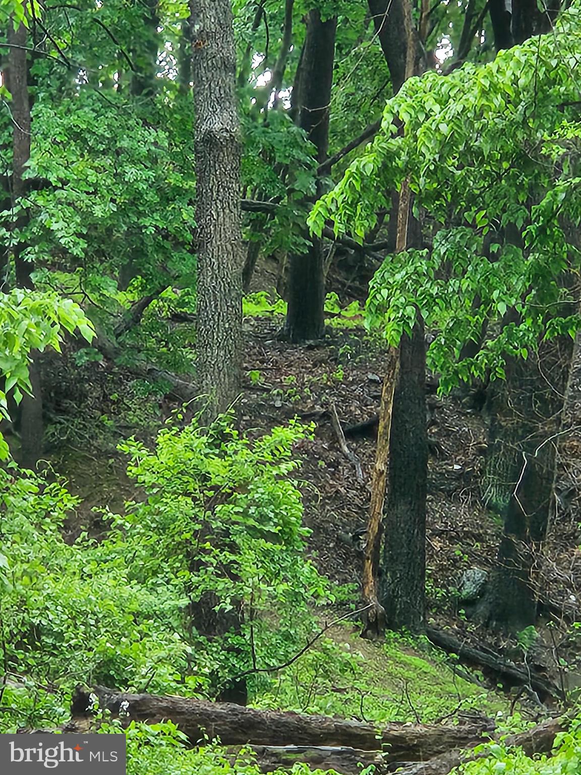 Wooded 1+ Acre lot in Upper Macungie Township, Parkland Schools. Convenient access to major routes (Rt 222, Rt 22, Rt 78, Rt 100). This property is sloped with a level area on top to build. Approved driveway permit from PENNDOT. With low housing inventory in the area, consider building your next home here!