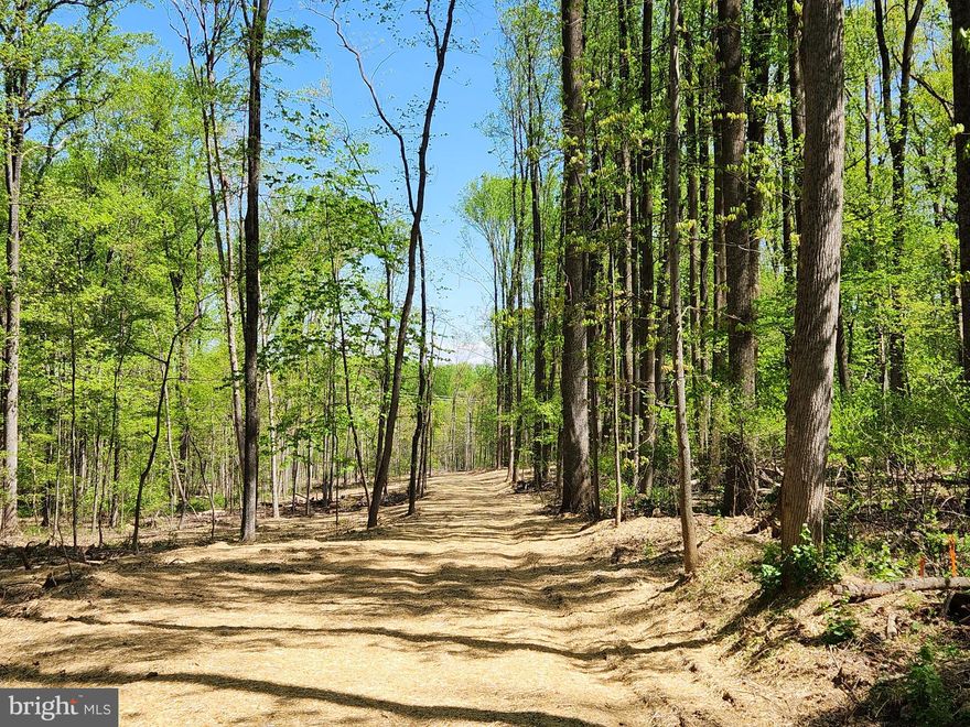 One of kind; Few and far between: This beautiful 6.13 Acres is Down the lane at 13932 Prospect Road and Way Back Off the Road! Perfect Wooded Lot waiting for the buyer who does not want to be dictated to by a HOA, Covenants & Restrictions or Forest Conservation Areas. This is for the buyer who wants  a relatively level lot with a good producing well (15 GPM) already drilled and an approved septic plan. This lot looks suitable for whatever style house is your dream home: Log Cabin? Stone Rancher? Brick 2-Story? Bring your own plans, your own builder - or ask us to help you meet a local builder - your own lender - or ask us and we can help coordinate it all.