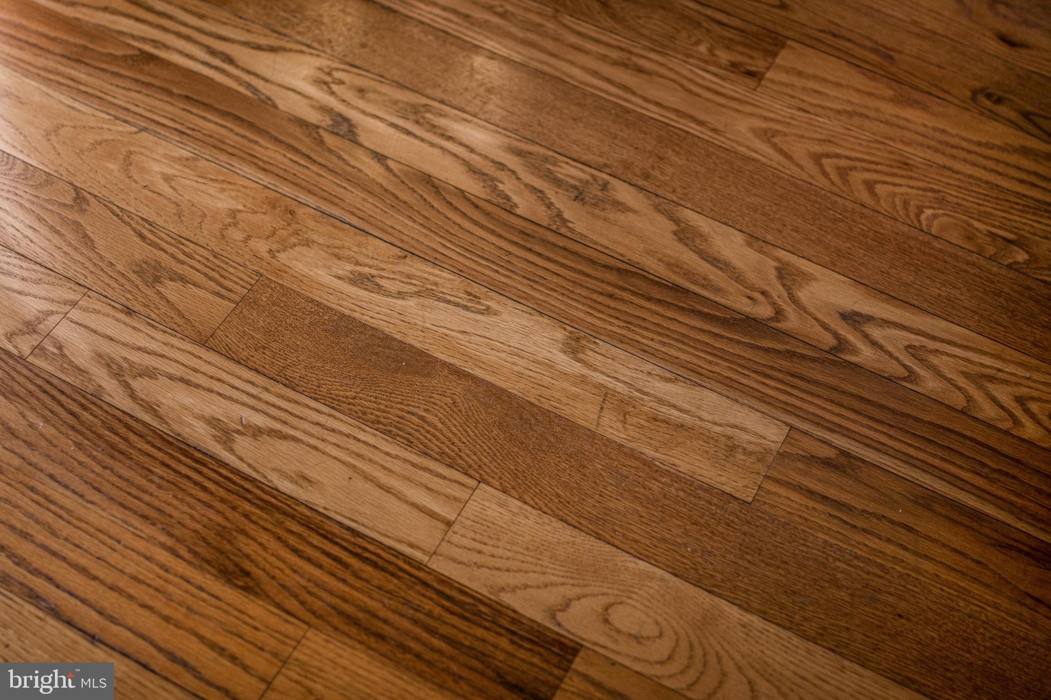 HAMPTON HILLS - Residential