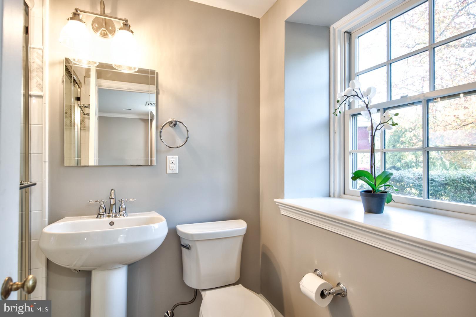 CHESTNUT HILL - Residential