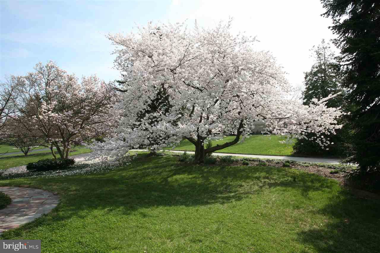 WYNDHAM - Residential