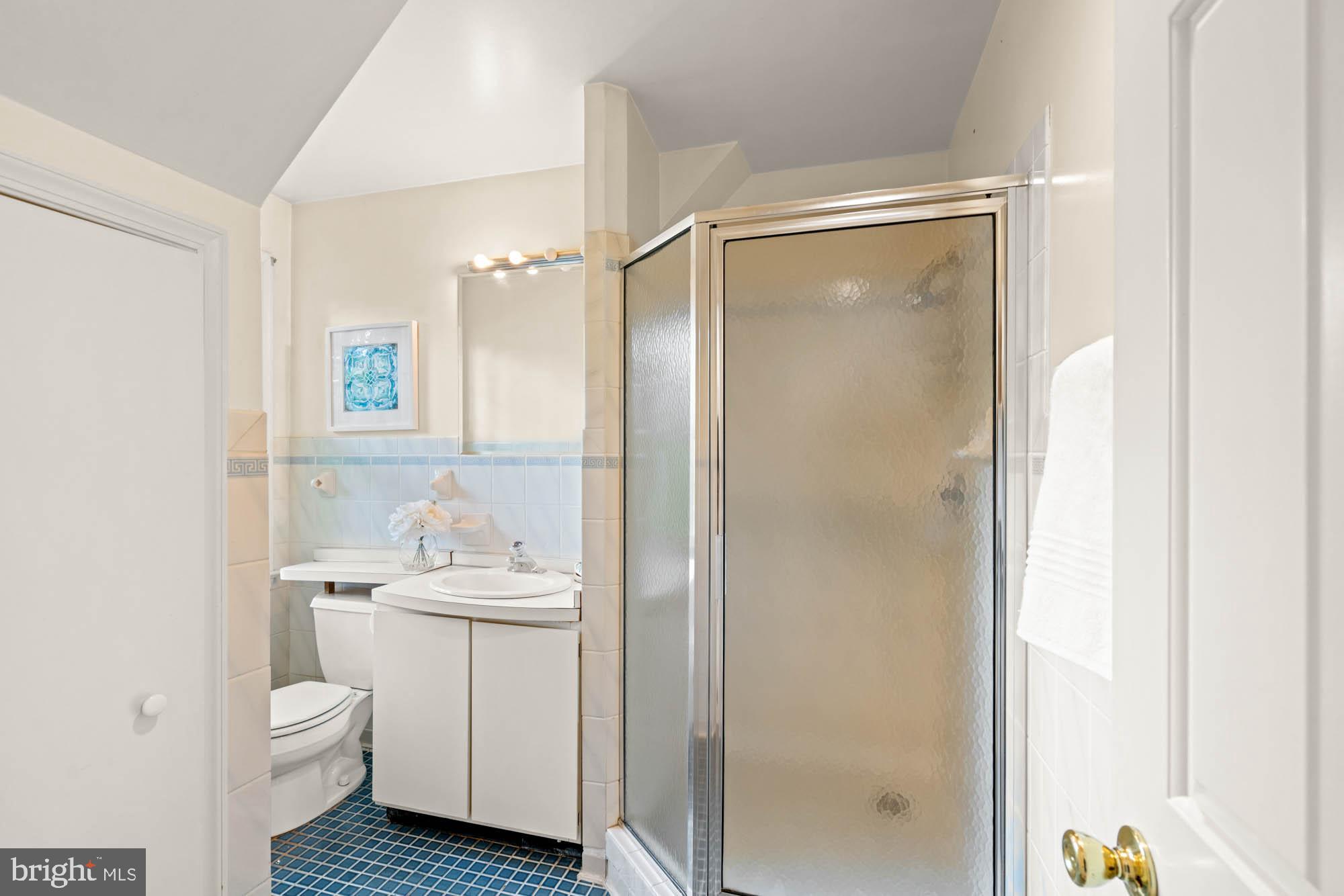 CHEVY CHASE VILLAGE - Residential