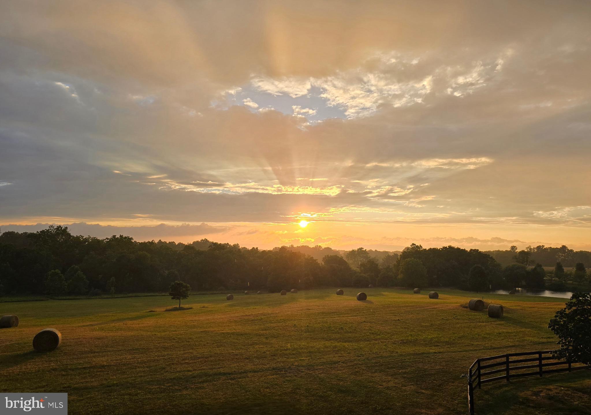 HEDGELAND - Residential