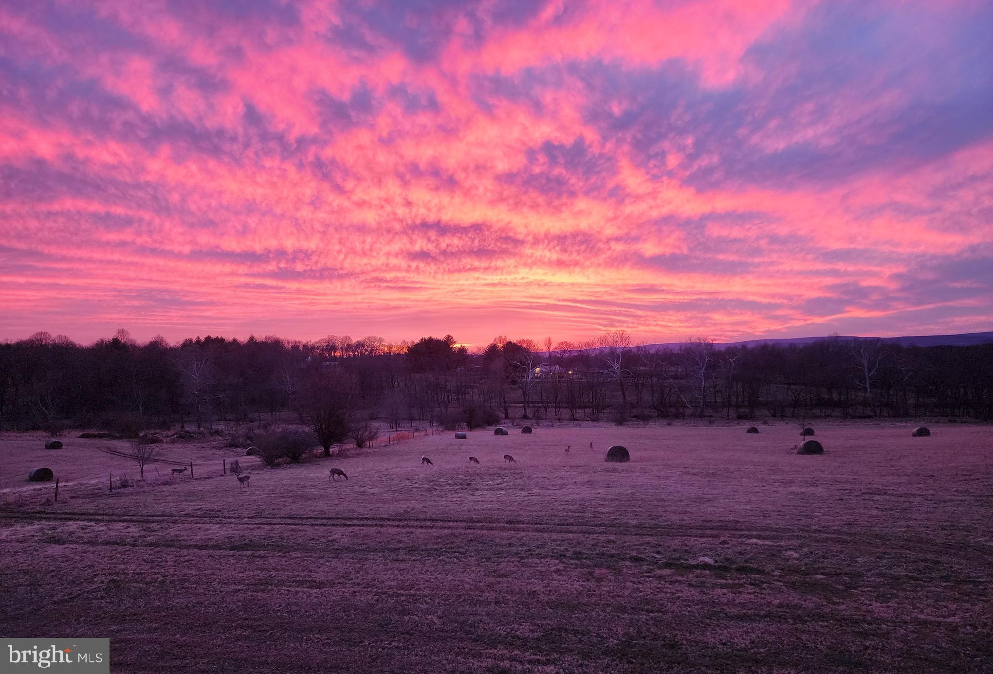 HEDGELAND - Residential