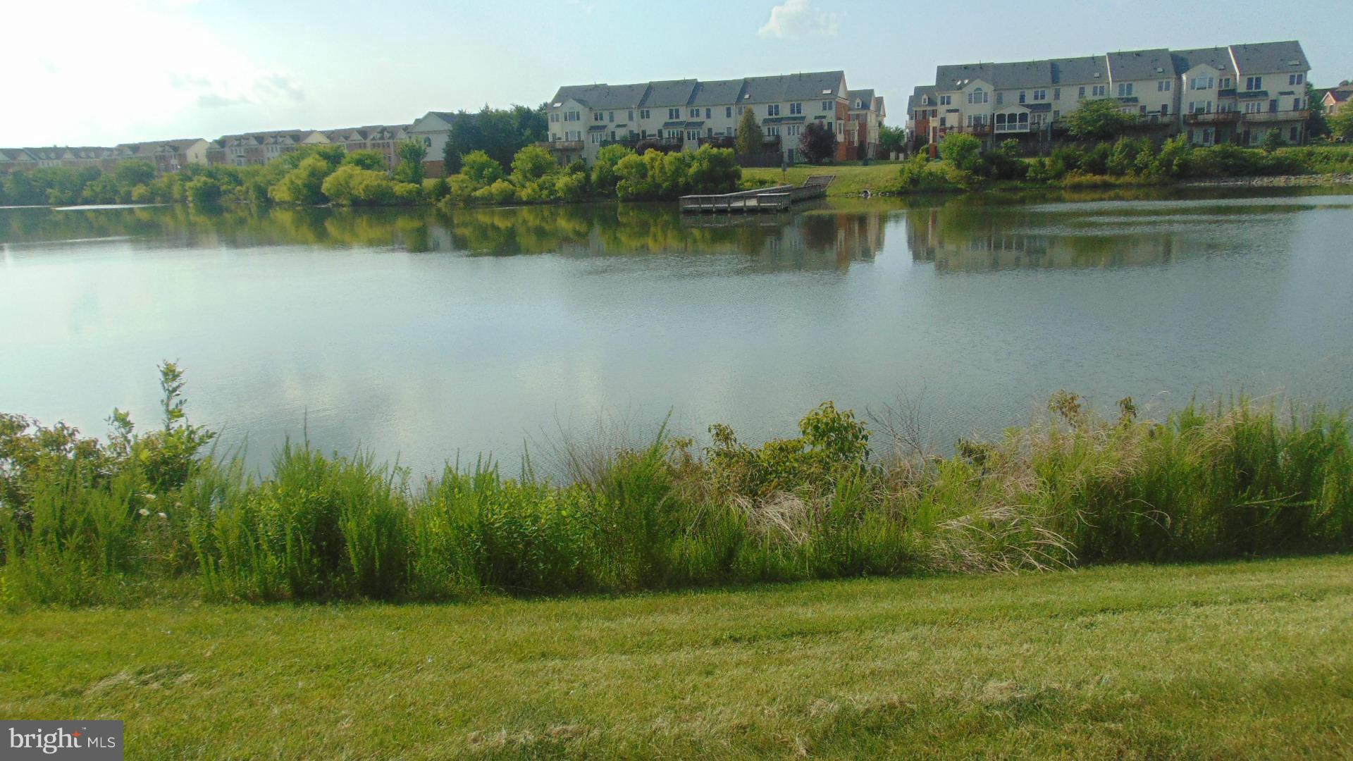 AMBERLEA AT SOUTH RIDING - Residential Lease