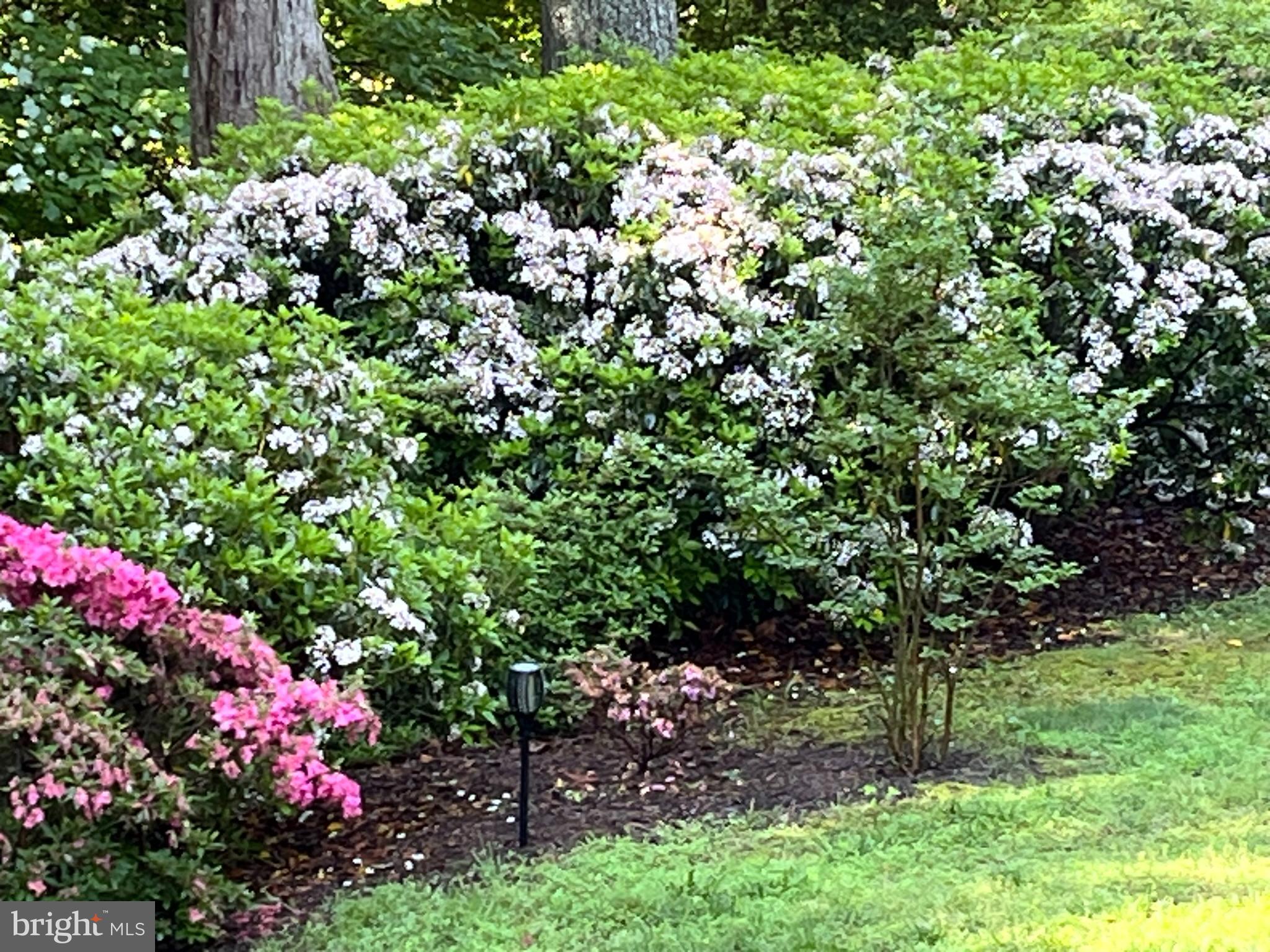 FRIDAY CREEK ESTATES - Residential