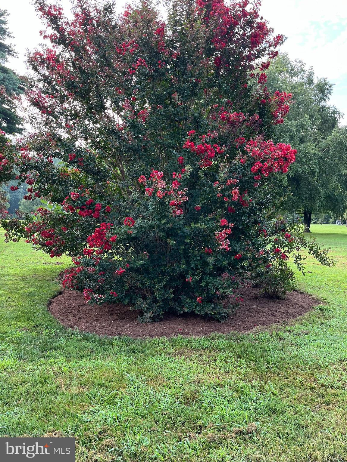 FRIDAY CREEK ESTATES - Residential