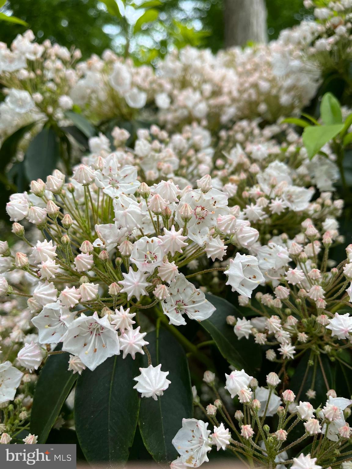 FRIDAY CREEK ESTATES - Residential