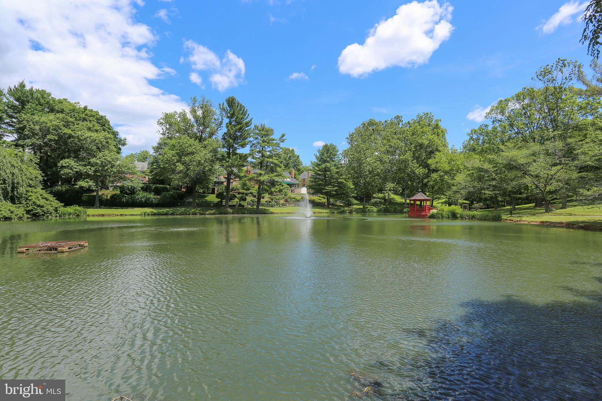 12428 OVER RIDGE ROAD