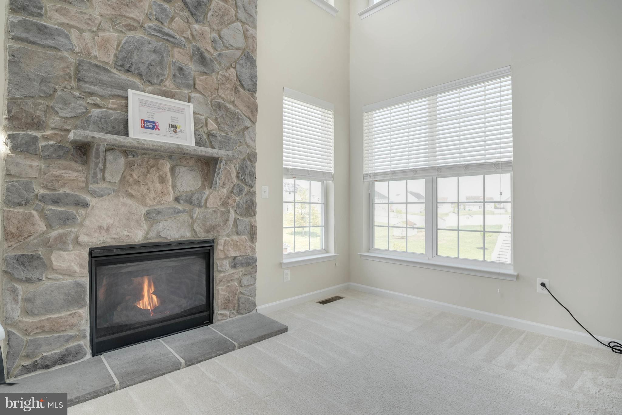 LAKEVIEW AT BRANDYWINE - Residential