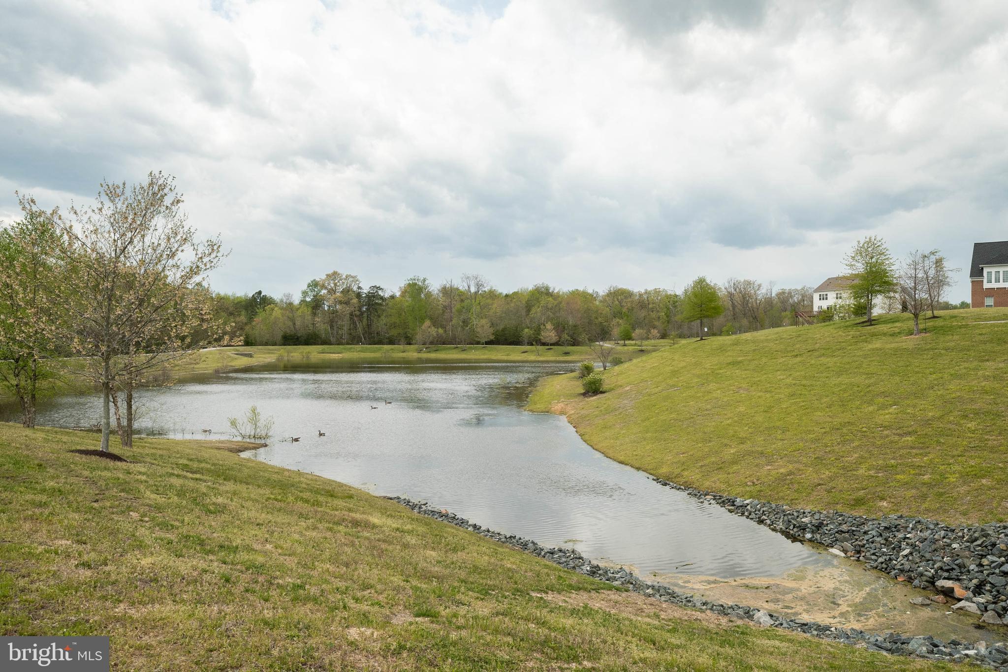 LAKEVIEW AT BRANDYWINE - Residential
