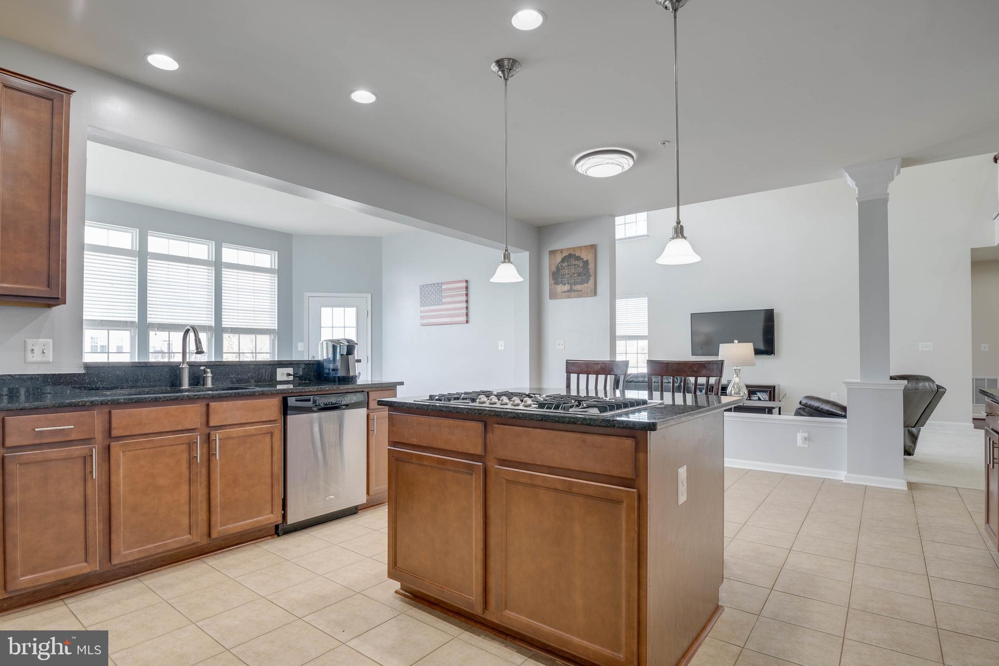 LAKEVIEW AT BRANDYWINE - Residential