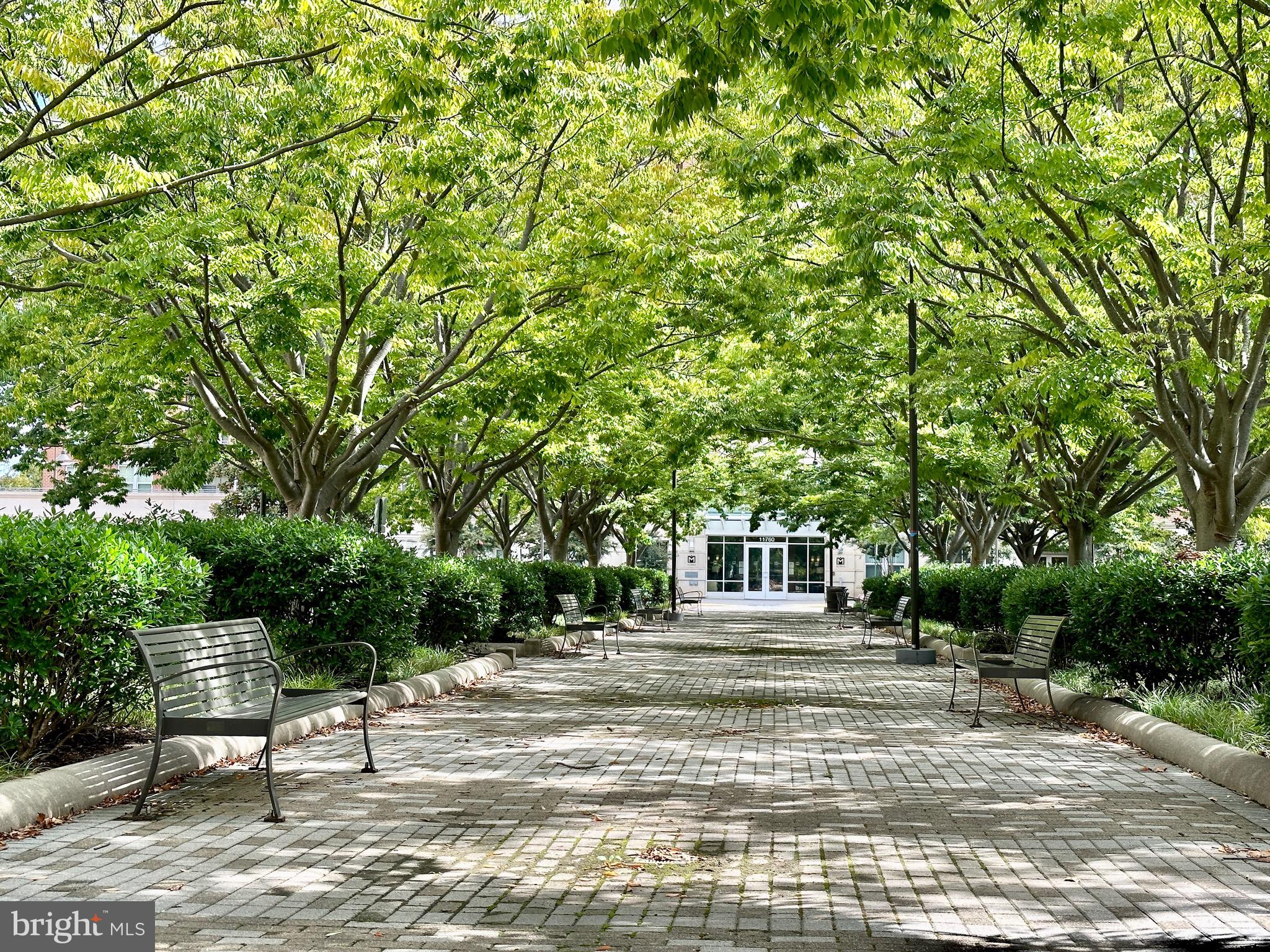 MERCER - Residential Lease