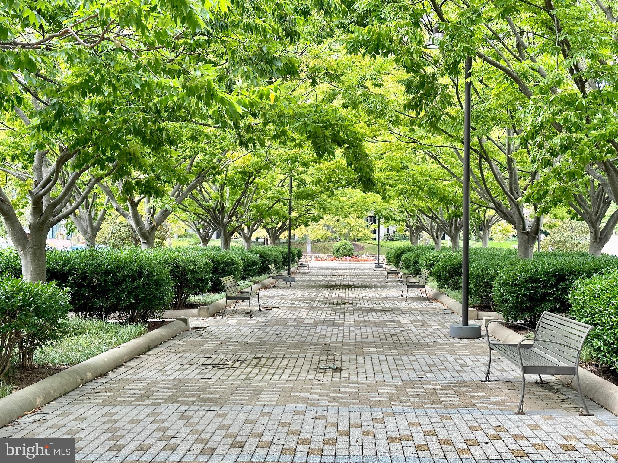 MERCER - Residential Lease