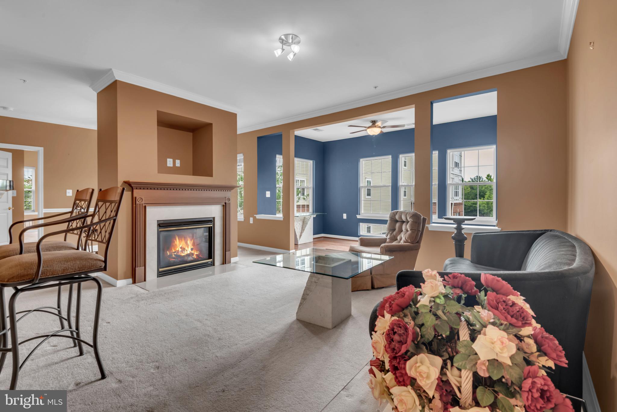 CAMERON GROVE - Residential