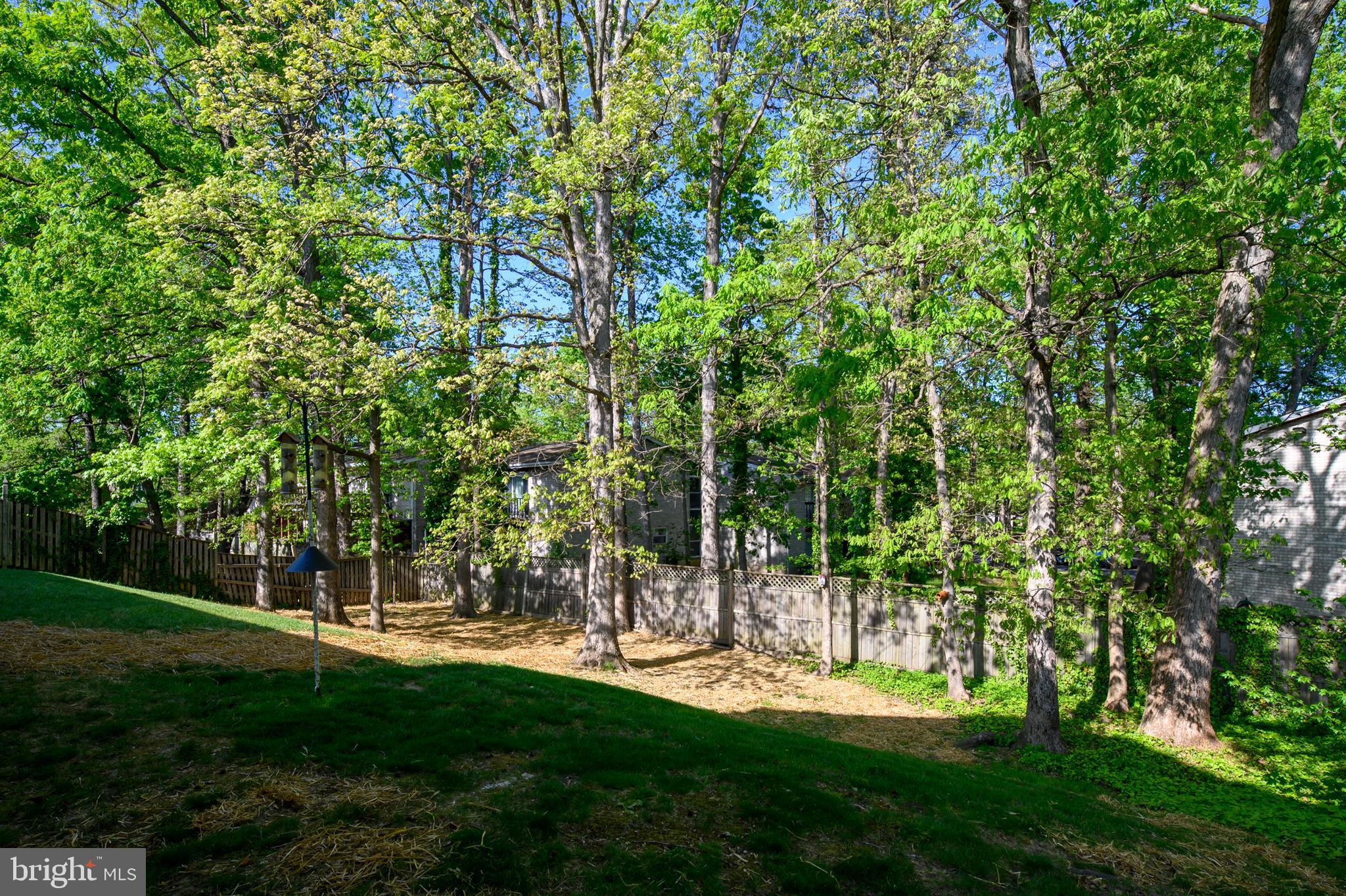 WOODLARK - Residential