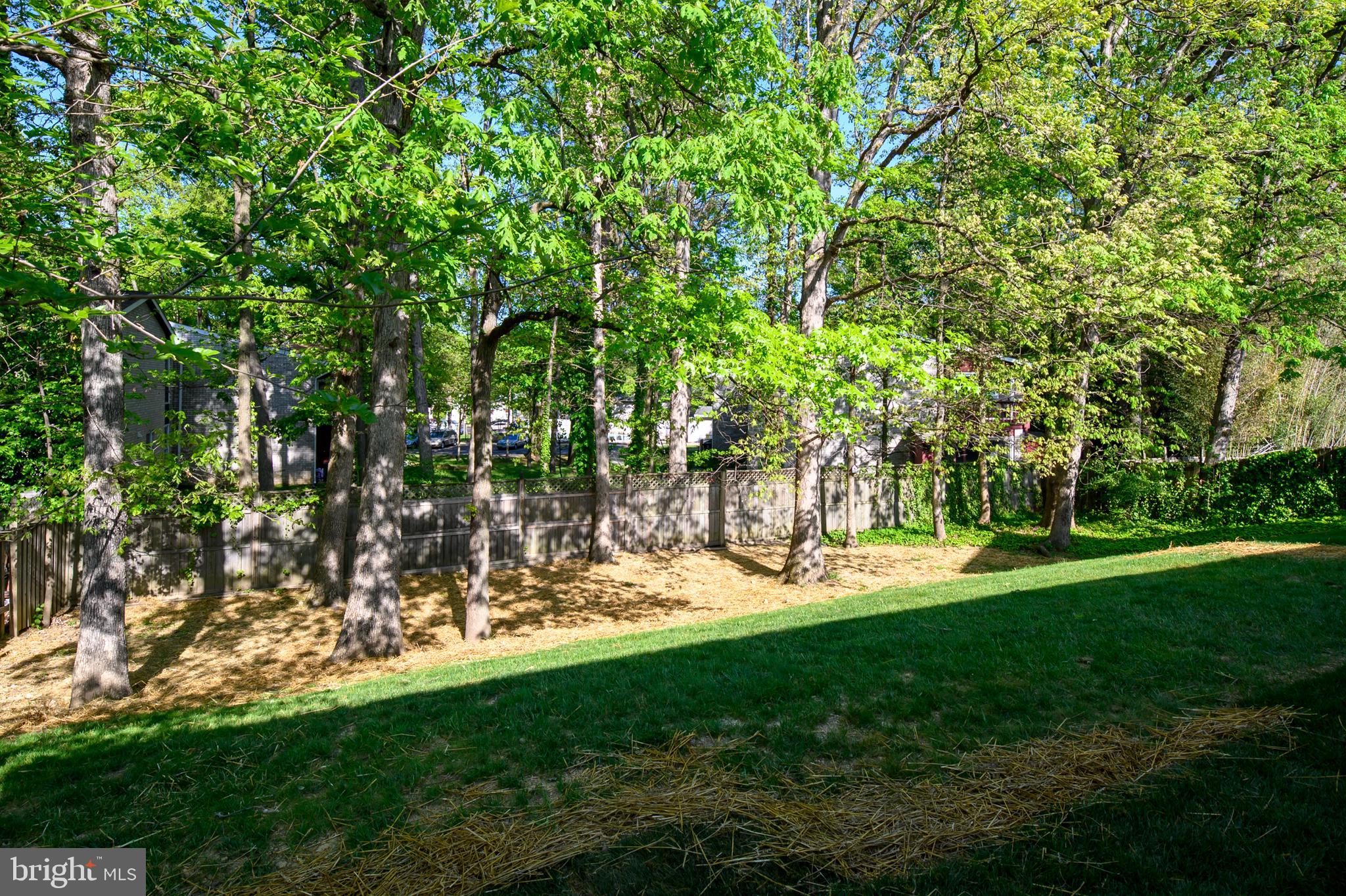 WOODLARK - Residential