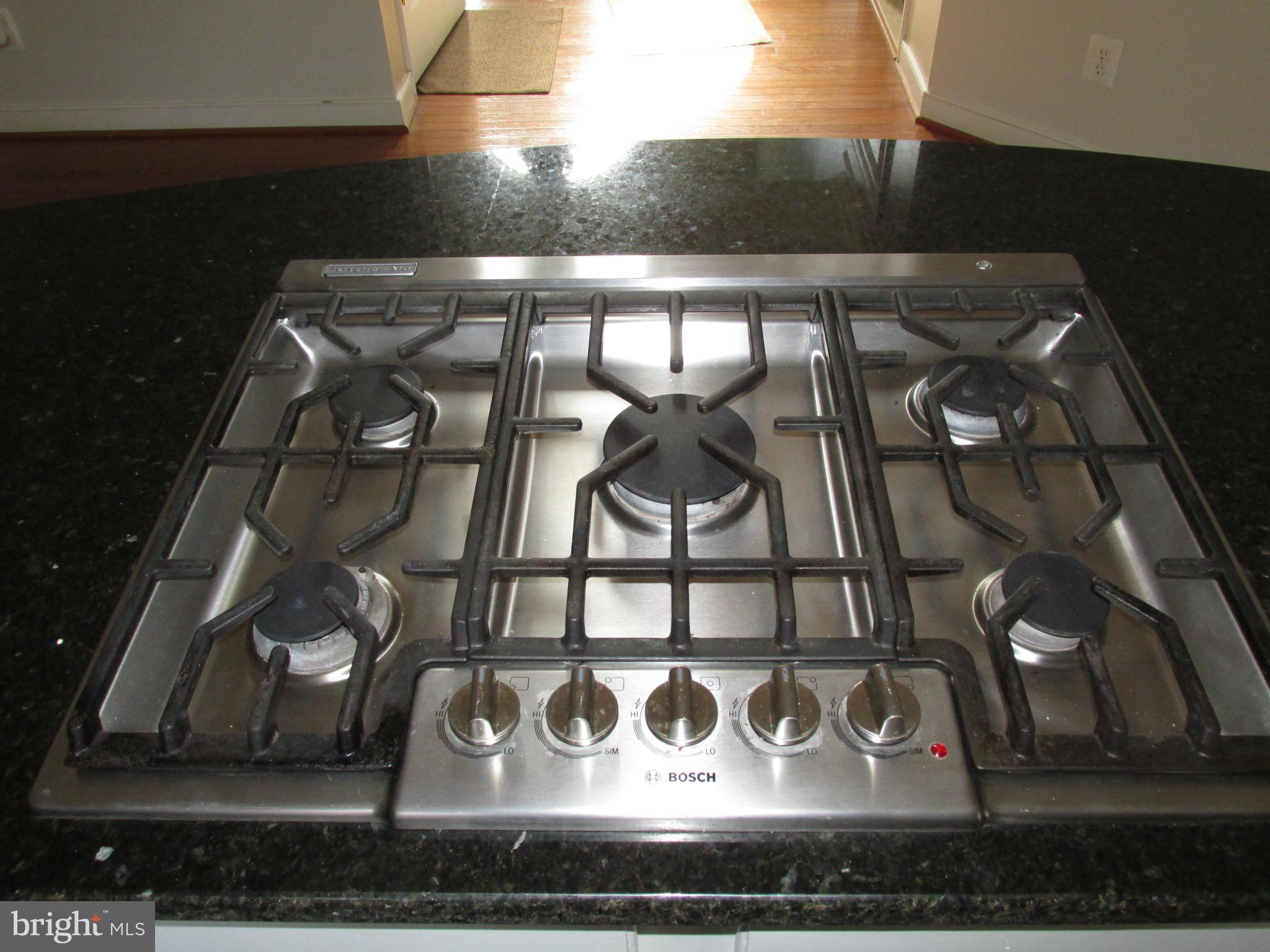 CHATHAM VILLAGE - Residential Lease