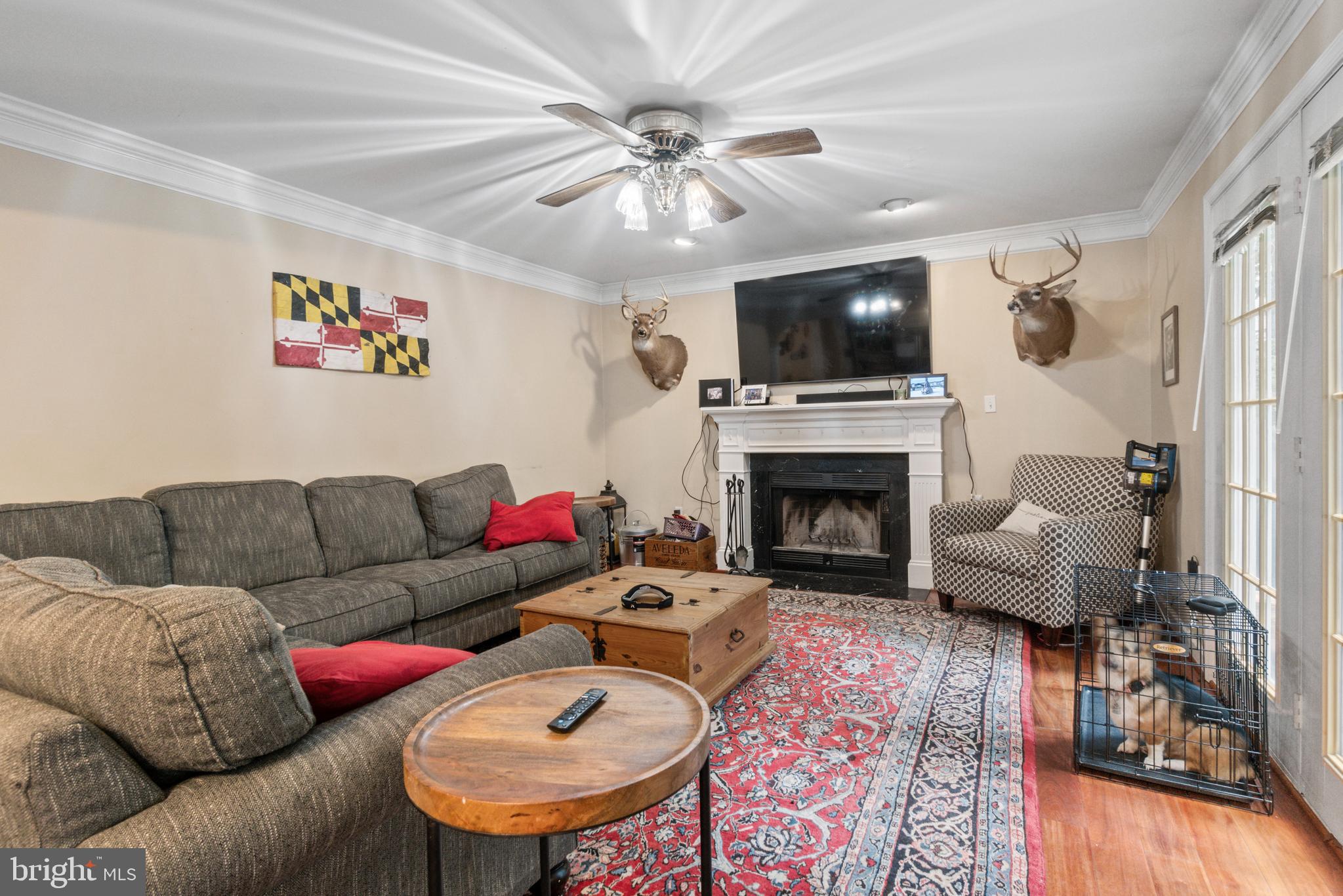 STEEPLE CHASE - Residential