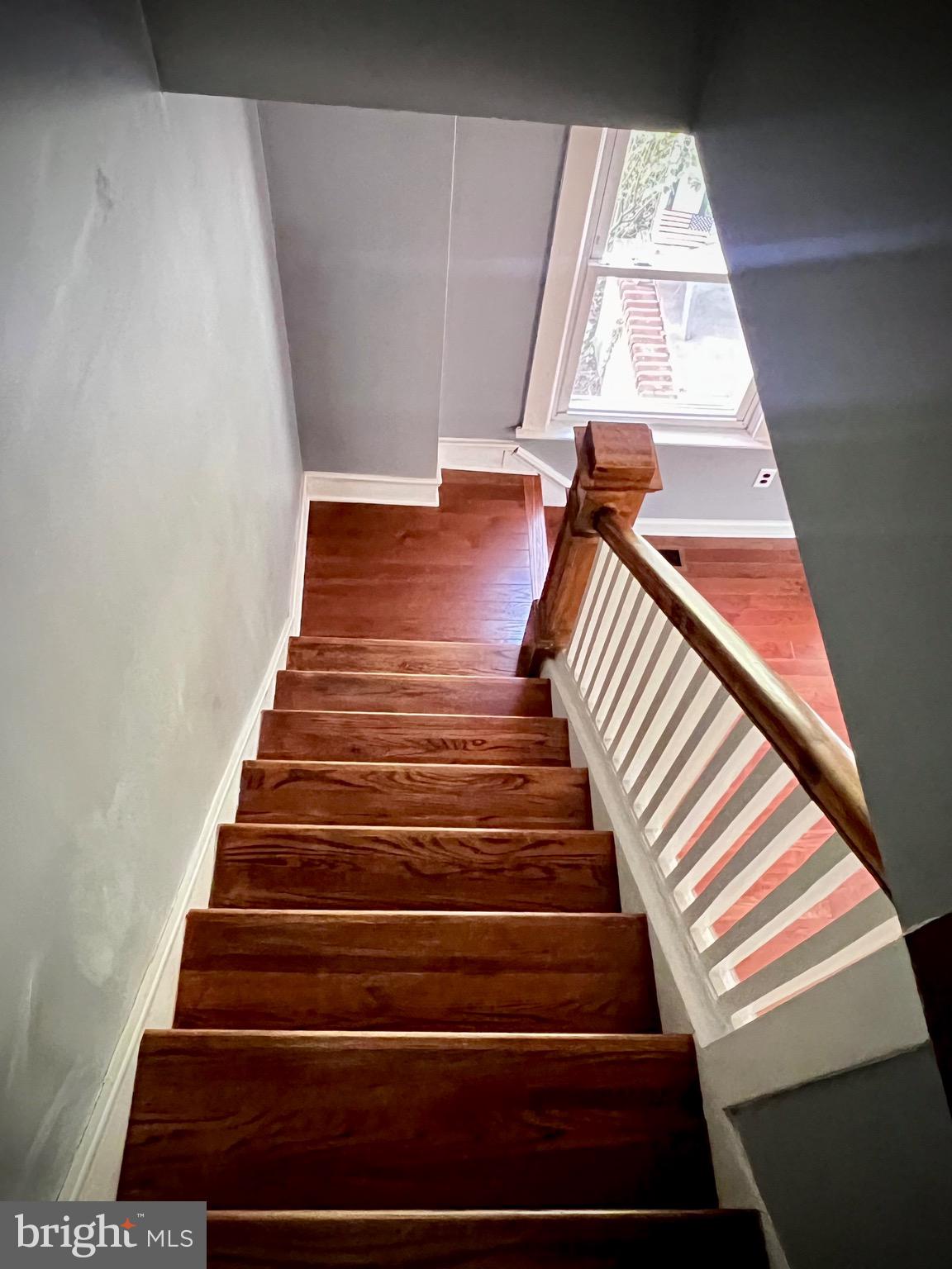 NEW FOREST - Residential