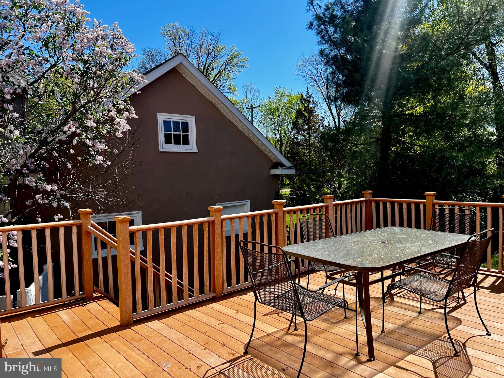 NEW FOREST - Residential