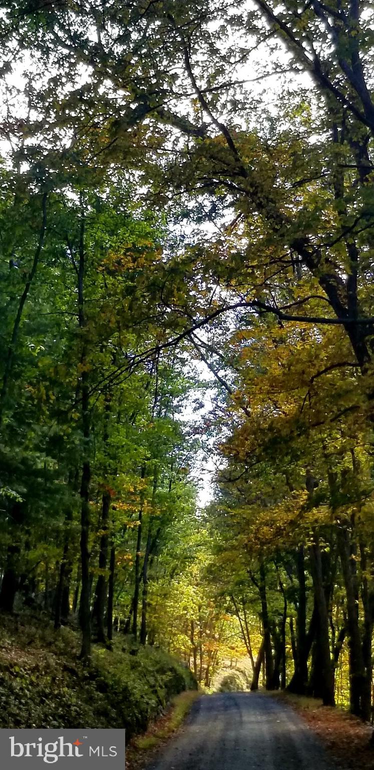 WALNUT RIDGE - Residential