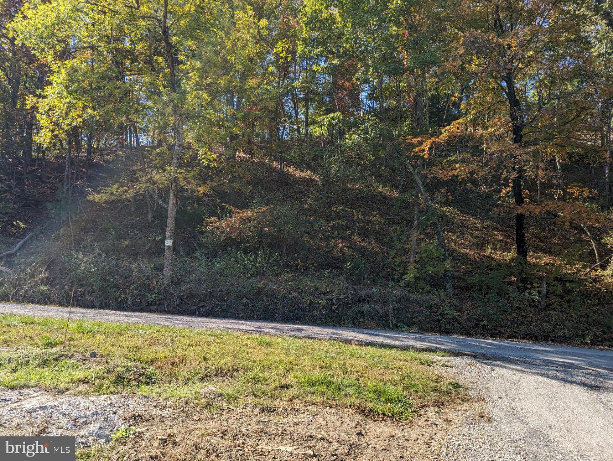 WALNUT RIDGE - Residential