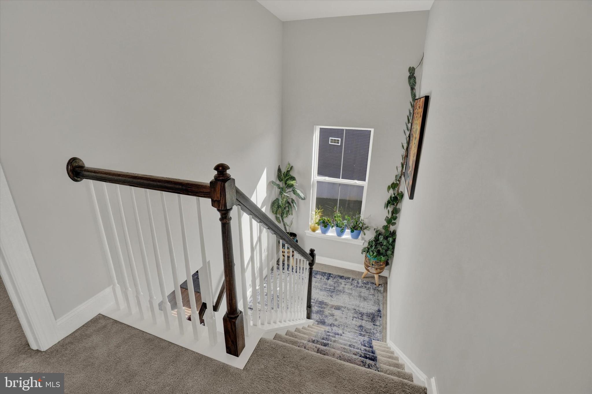 AUTUMN CHASE - Residential