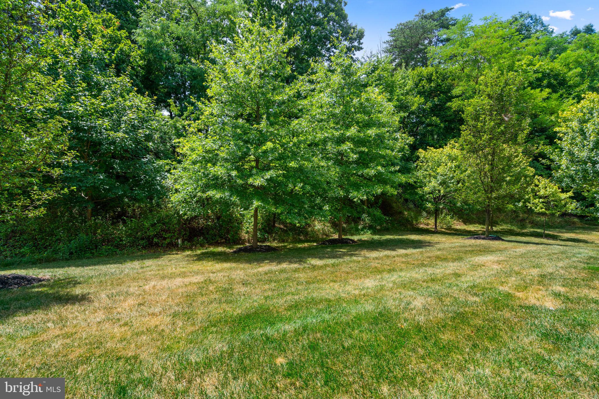 GABRIELS COURTYARD - Residential