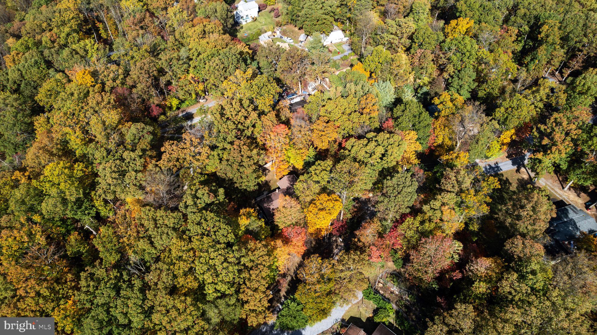 SHANNONDALE - Residential