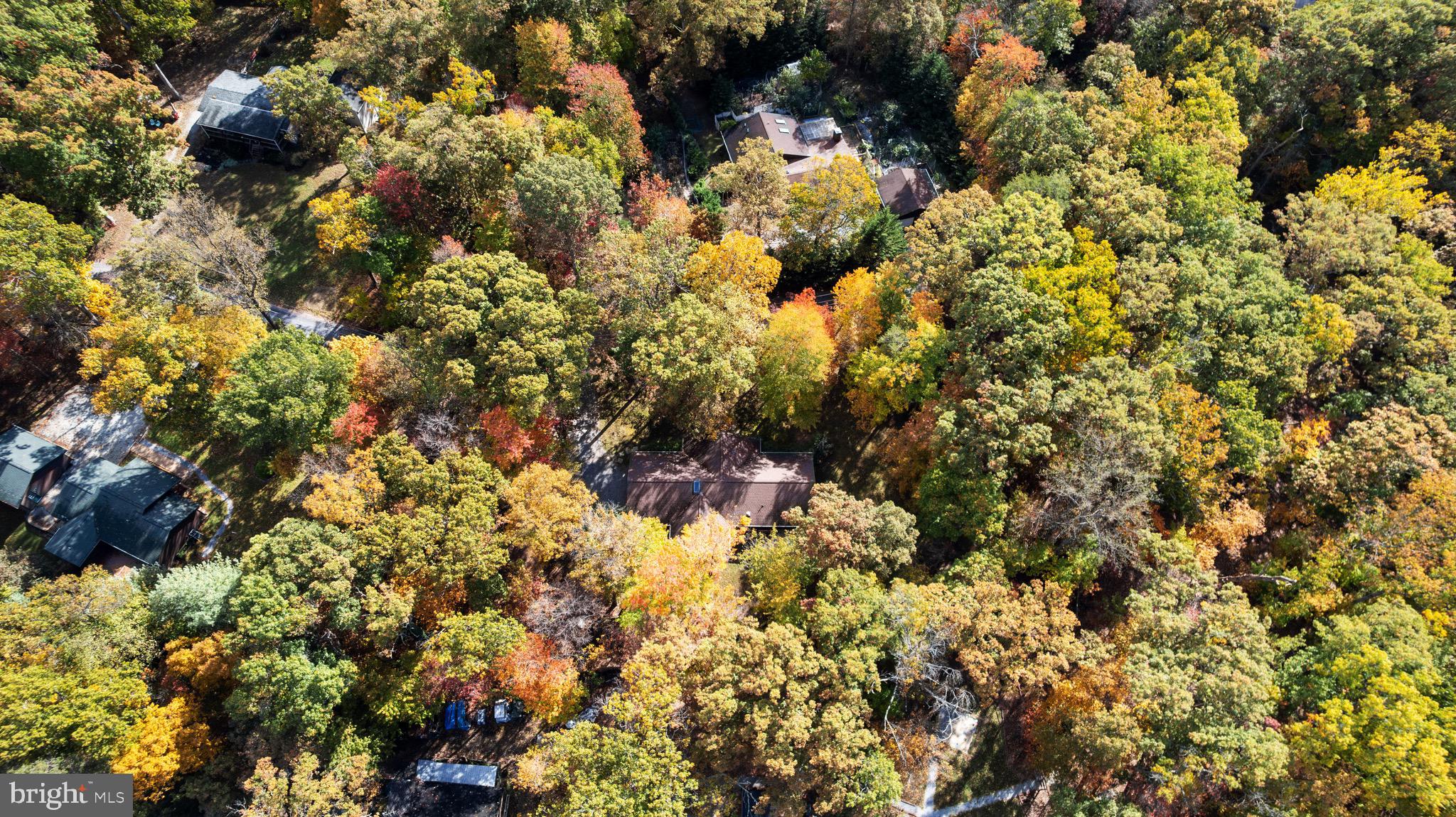 SHANNONDALE - Residential