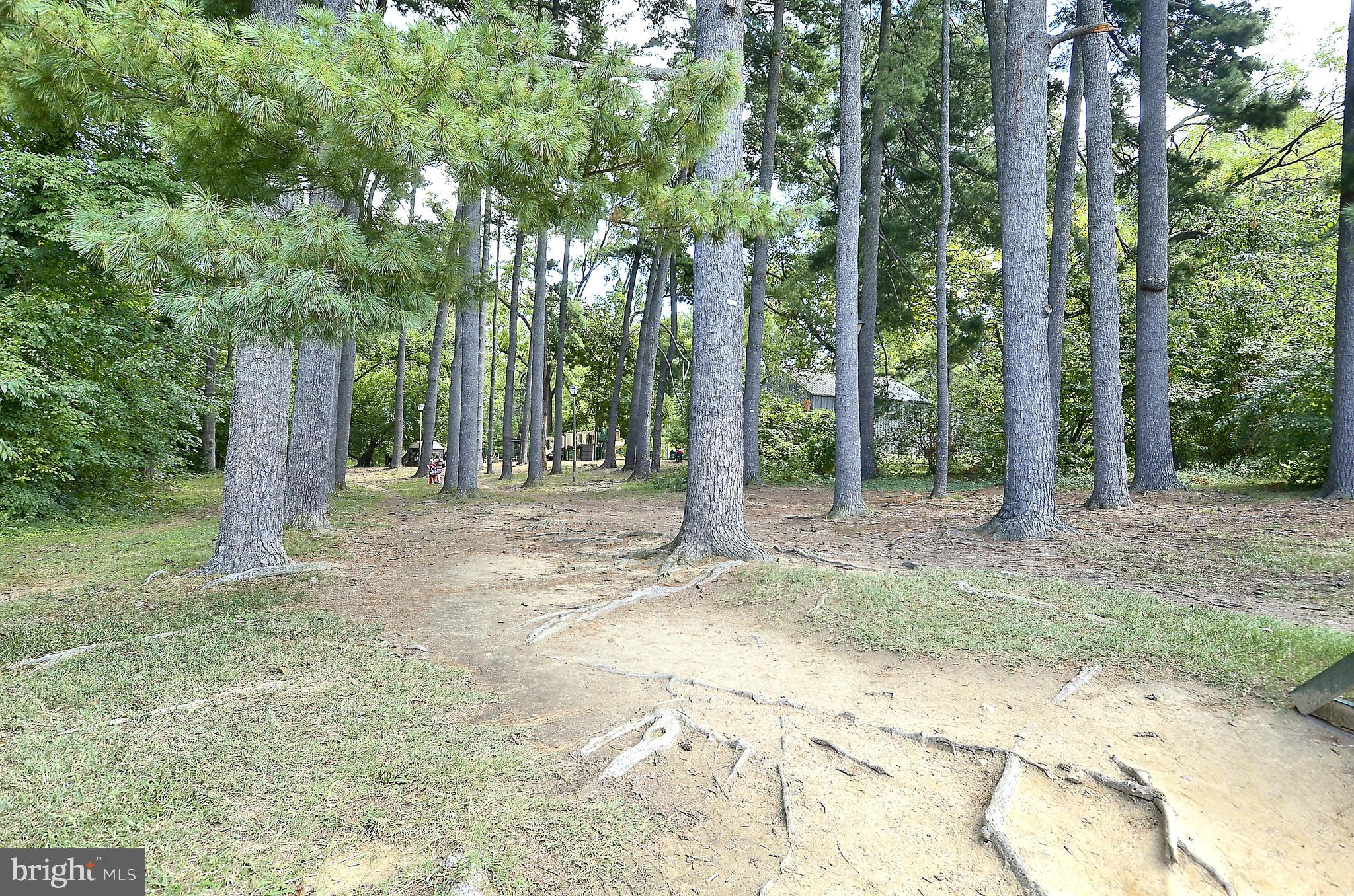 SPECTRUM CONDO - Residential