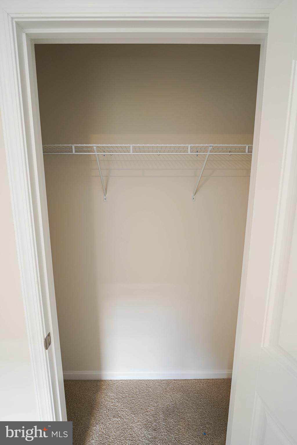 SASSAFRAS MEADOWS - Residential Lease