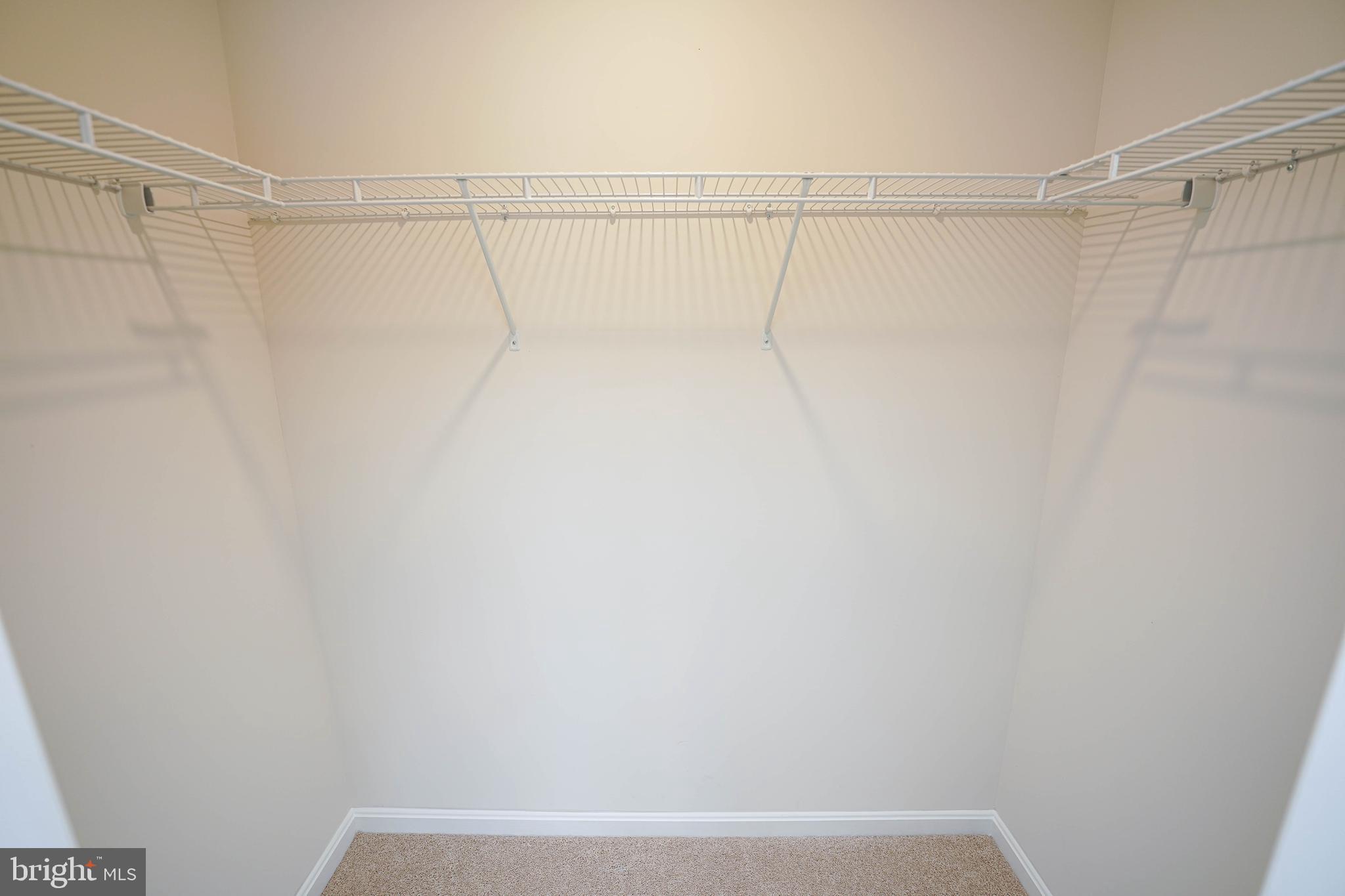 SASSAFRAS MEADOWS - Residential Lease