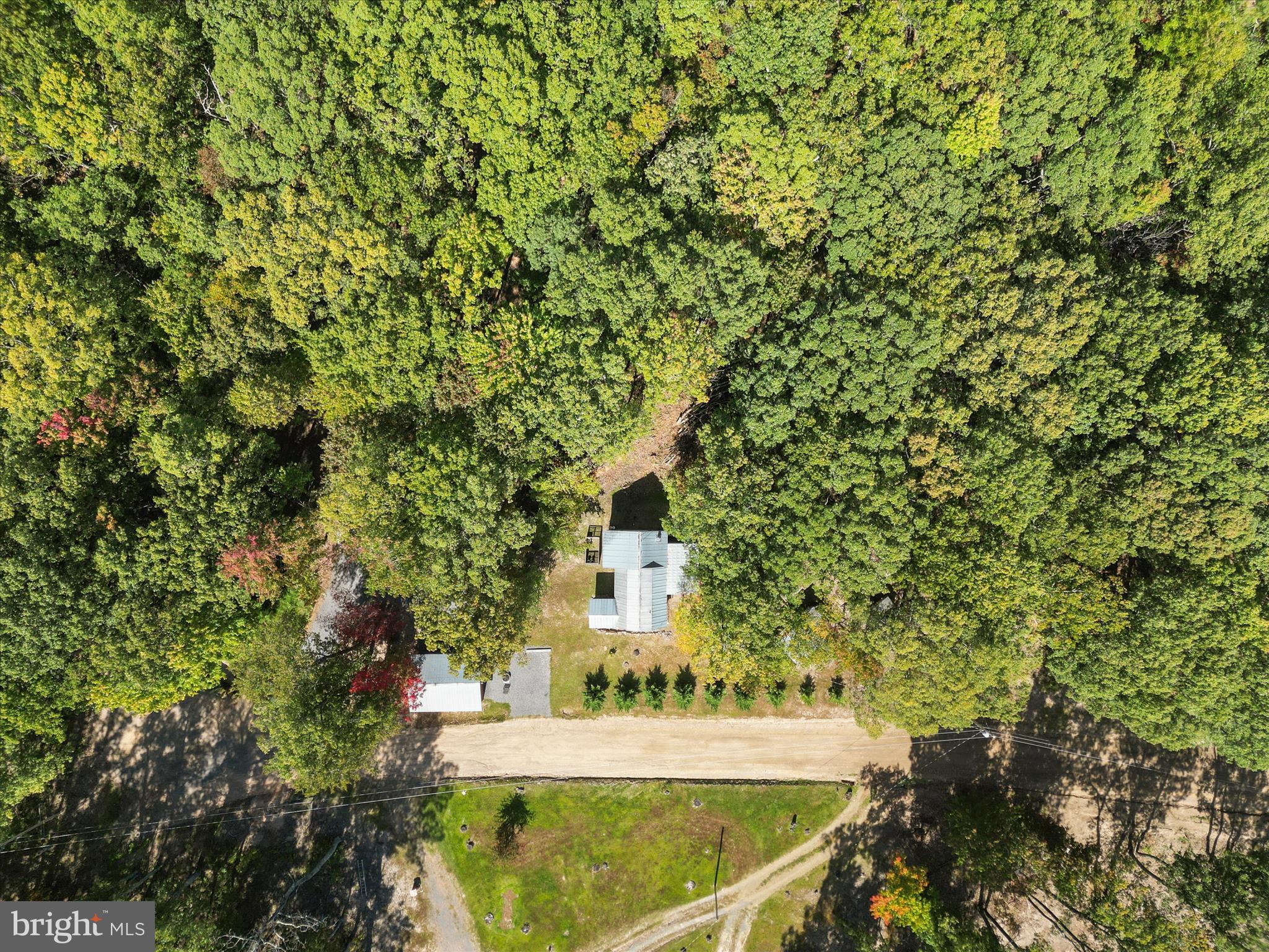 CABIN IN THE FOREST - Residential