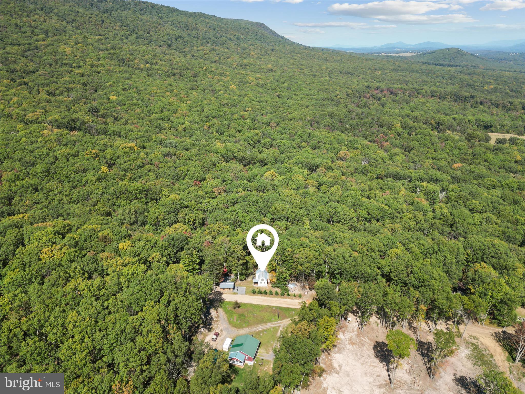 CABIN IN THE FOREST - Residential