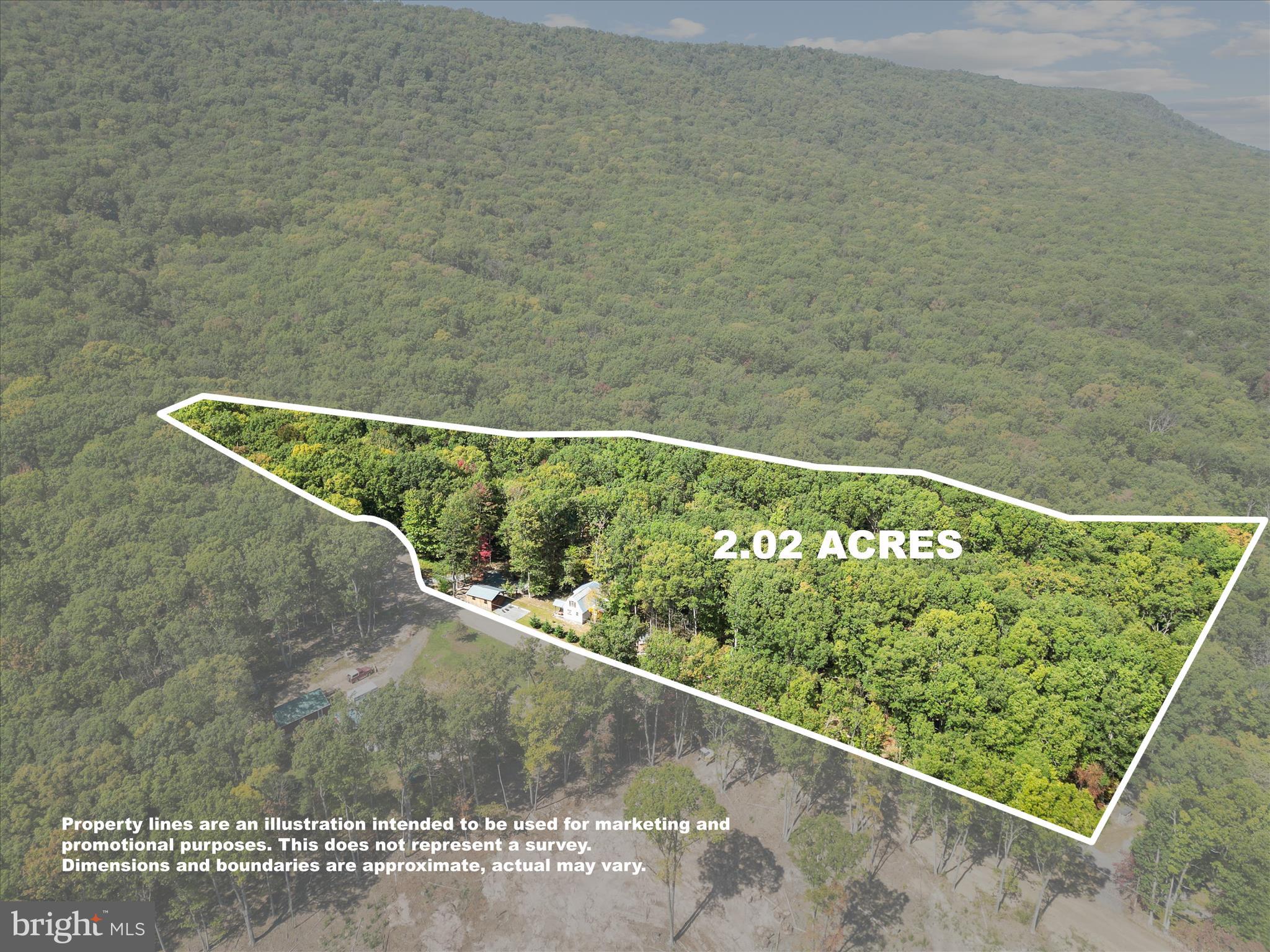 CABIN IN THE FOREST - Residential