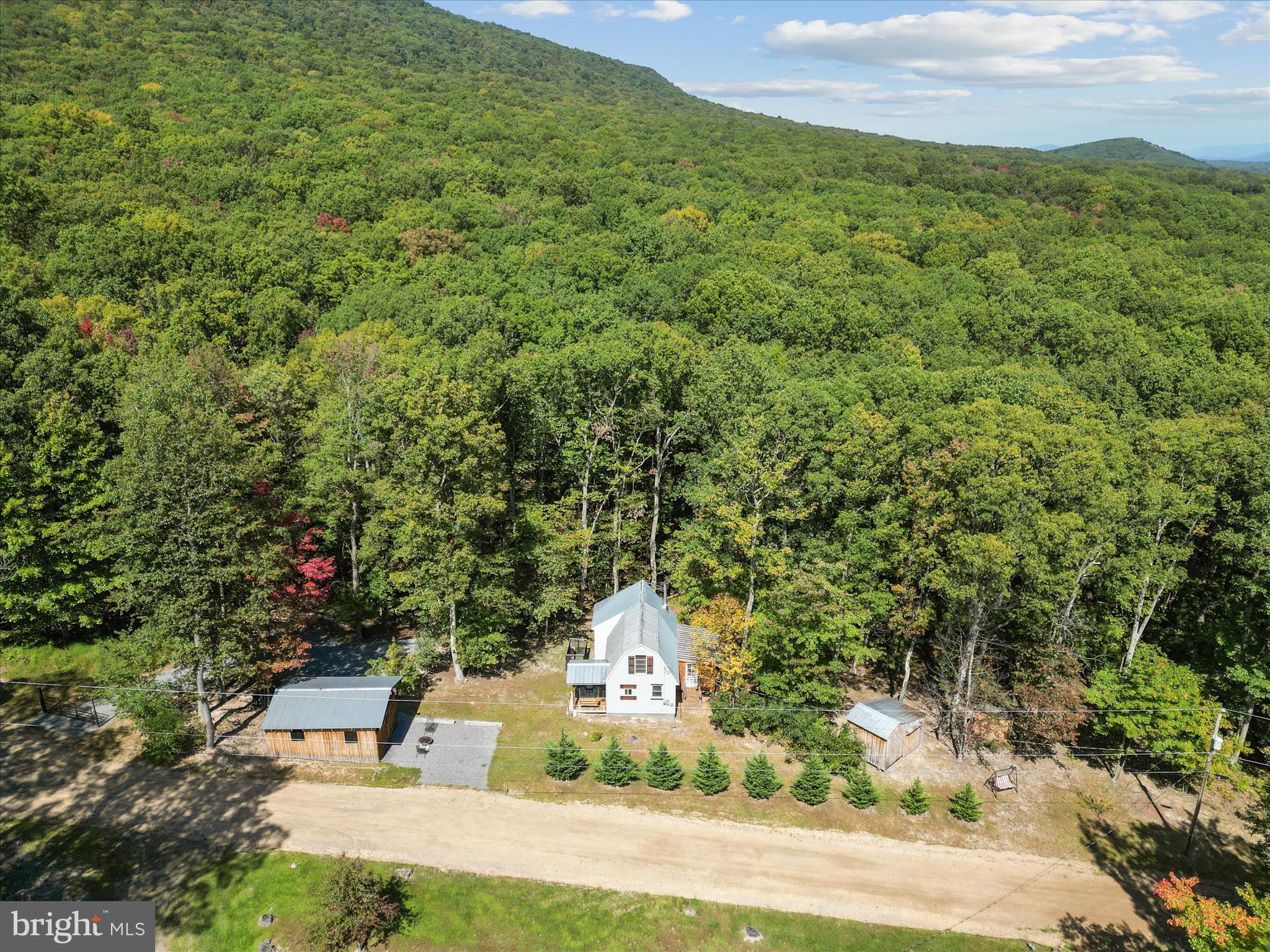 CABIN IN THE FOREST - Residential